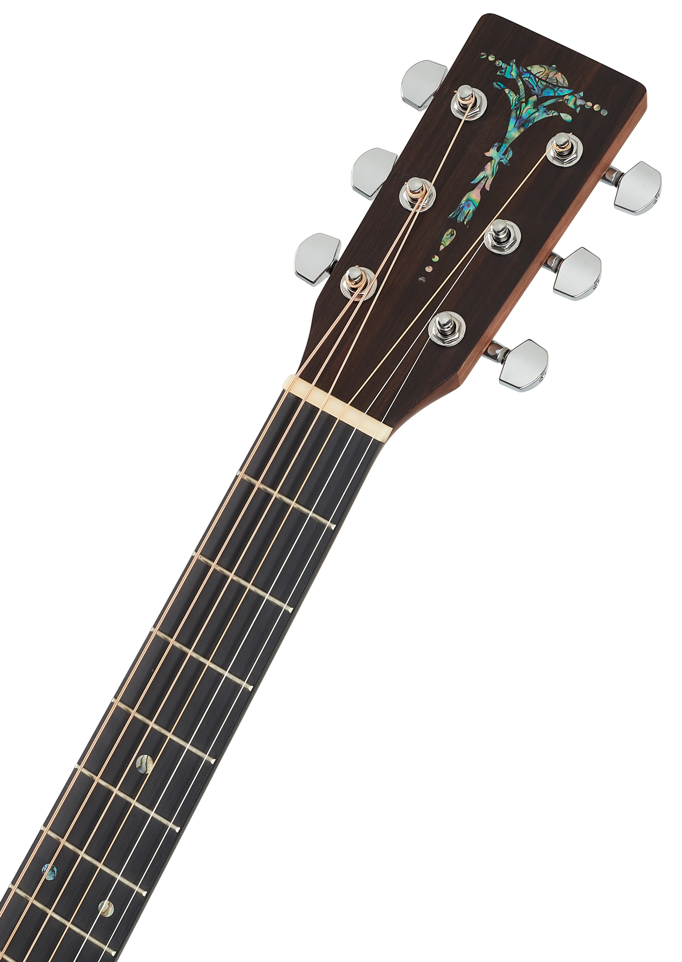 Sigma Guitars DT-STE (obrázek 5)