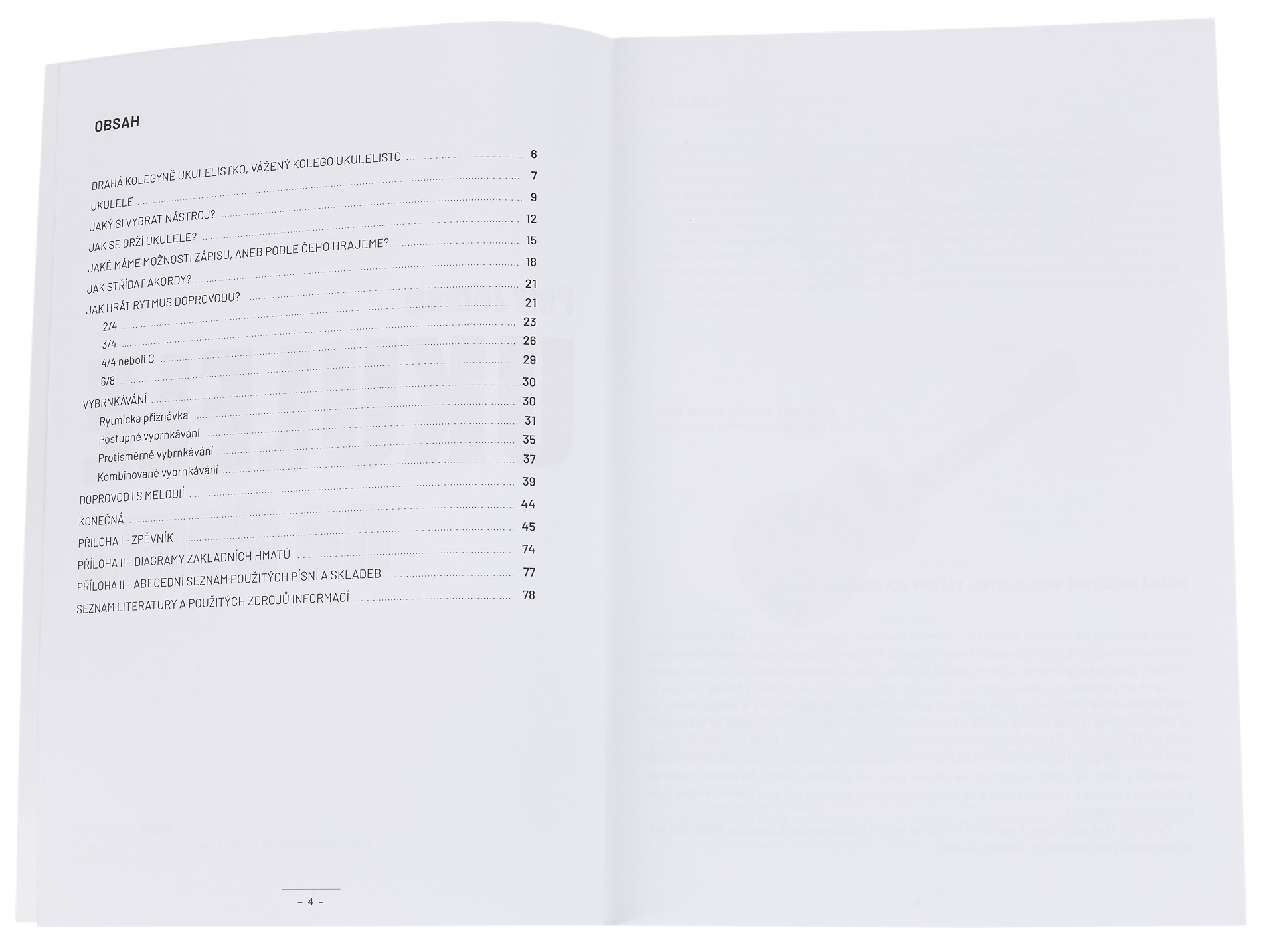 KN Ukulele na doma (obrázek 3)