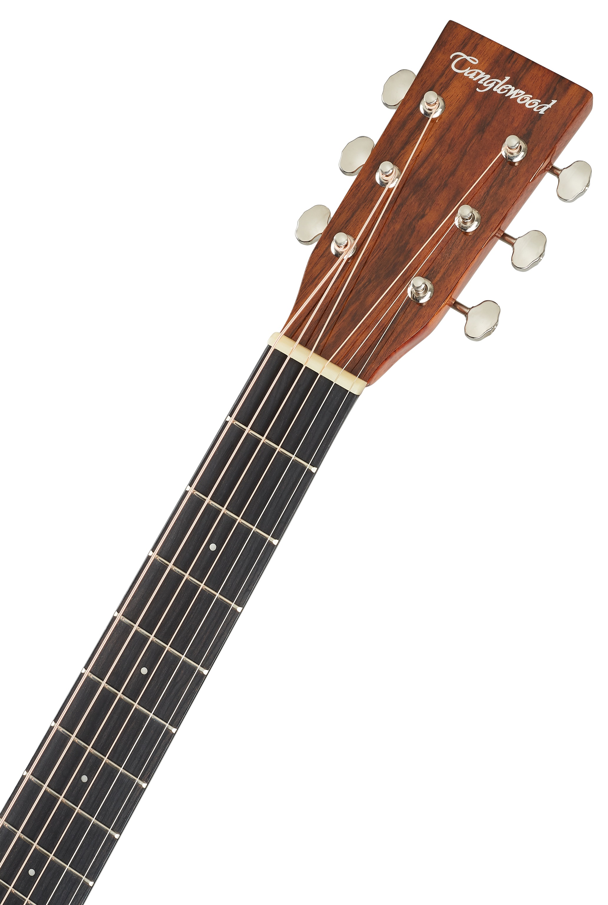 Tanglewood TW40DANE (obrázek 5)