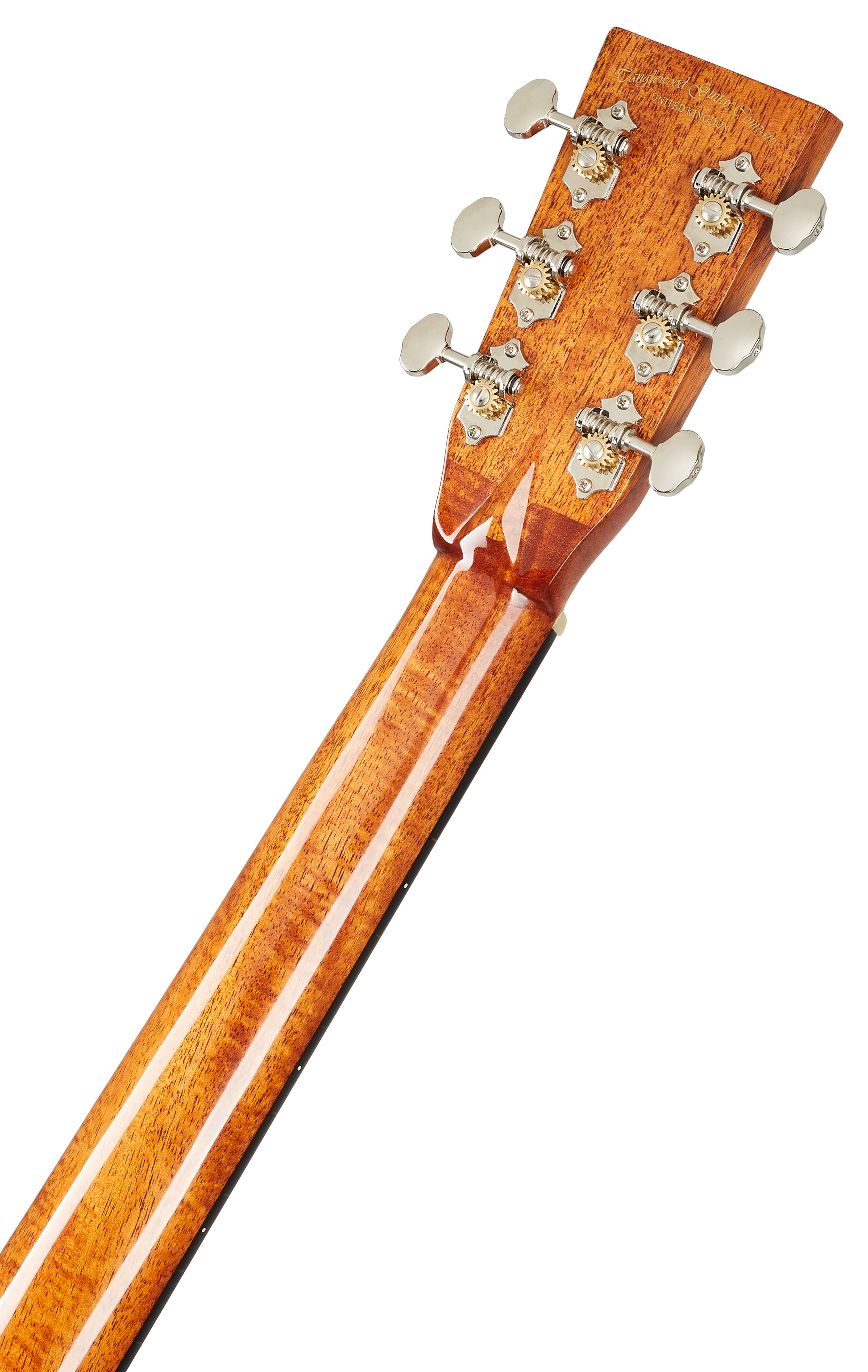 Tanglewood TW40DANE (obrázek 6)