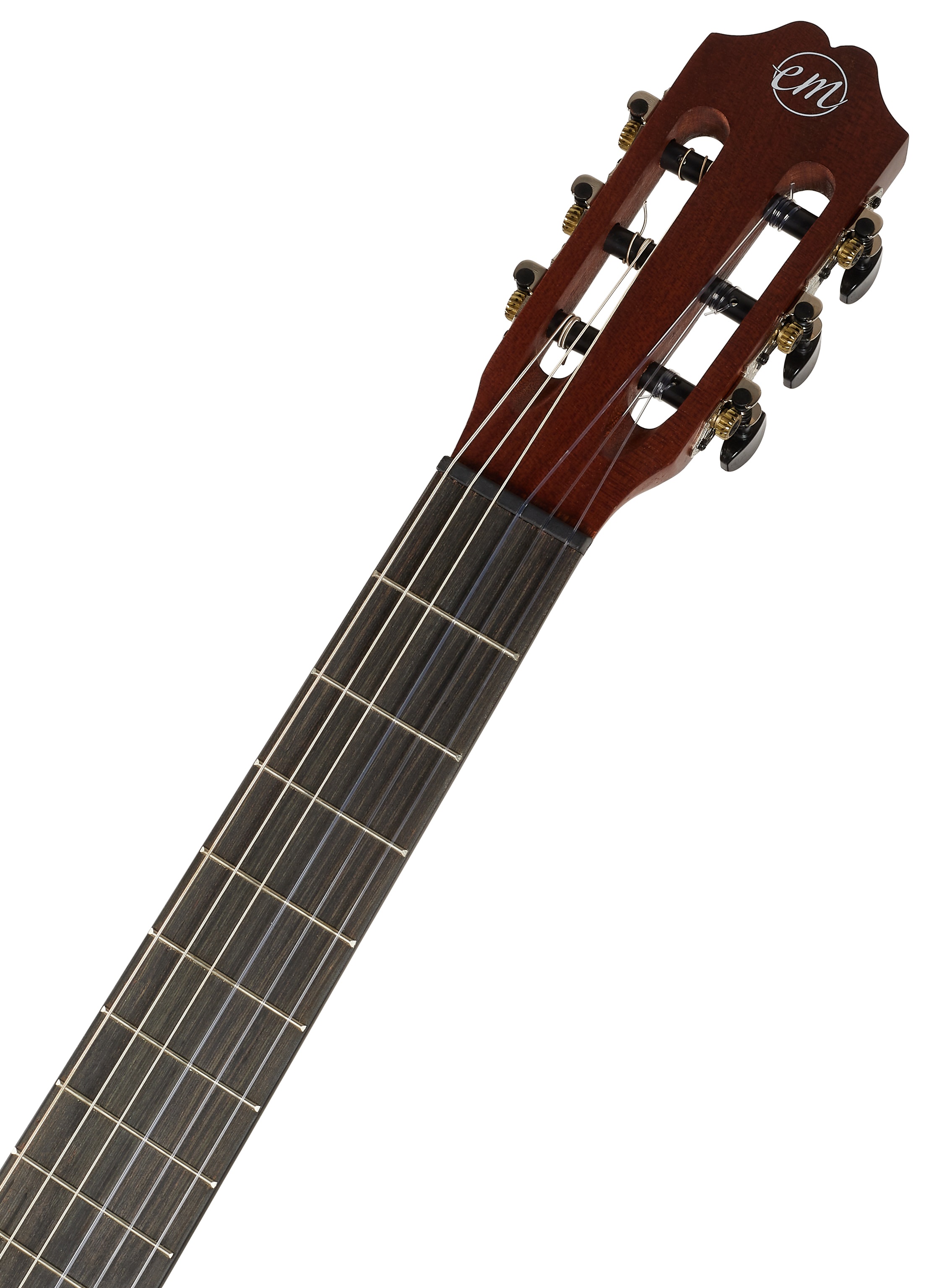 Tanglewood EM E2 (obrázek 4)