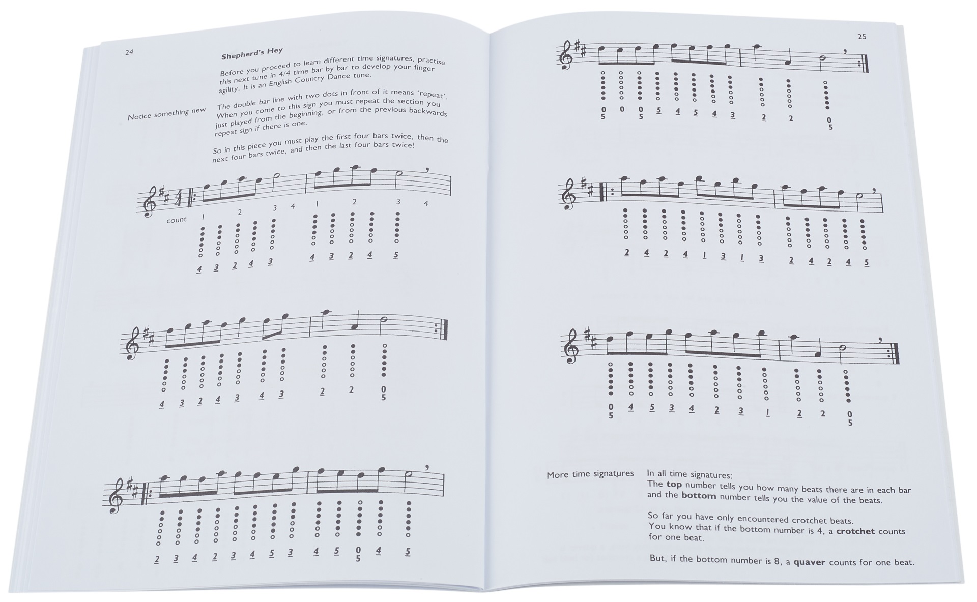 MS How To Play The Penny Whistle (obrázek 5)
