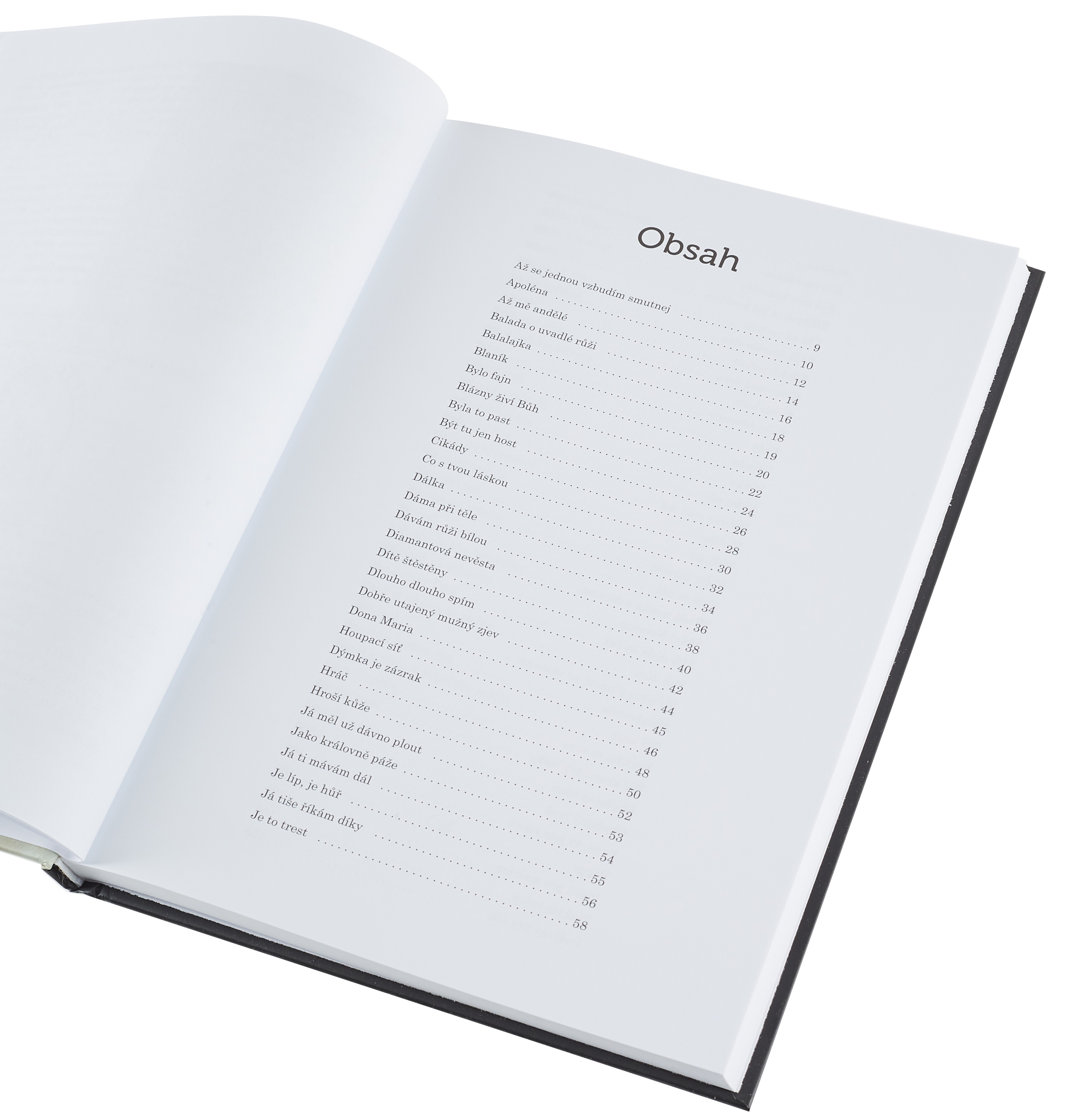 KN Petr Spálený - Obyčejný muž (obrázek 3)