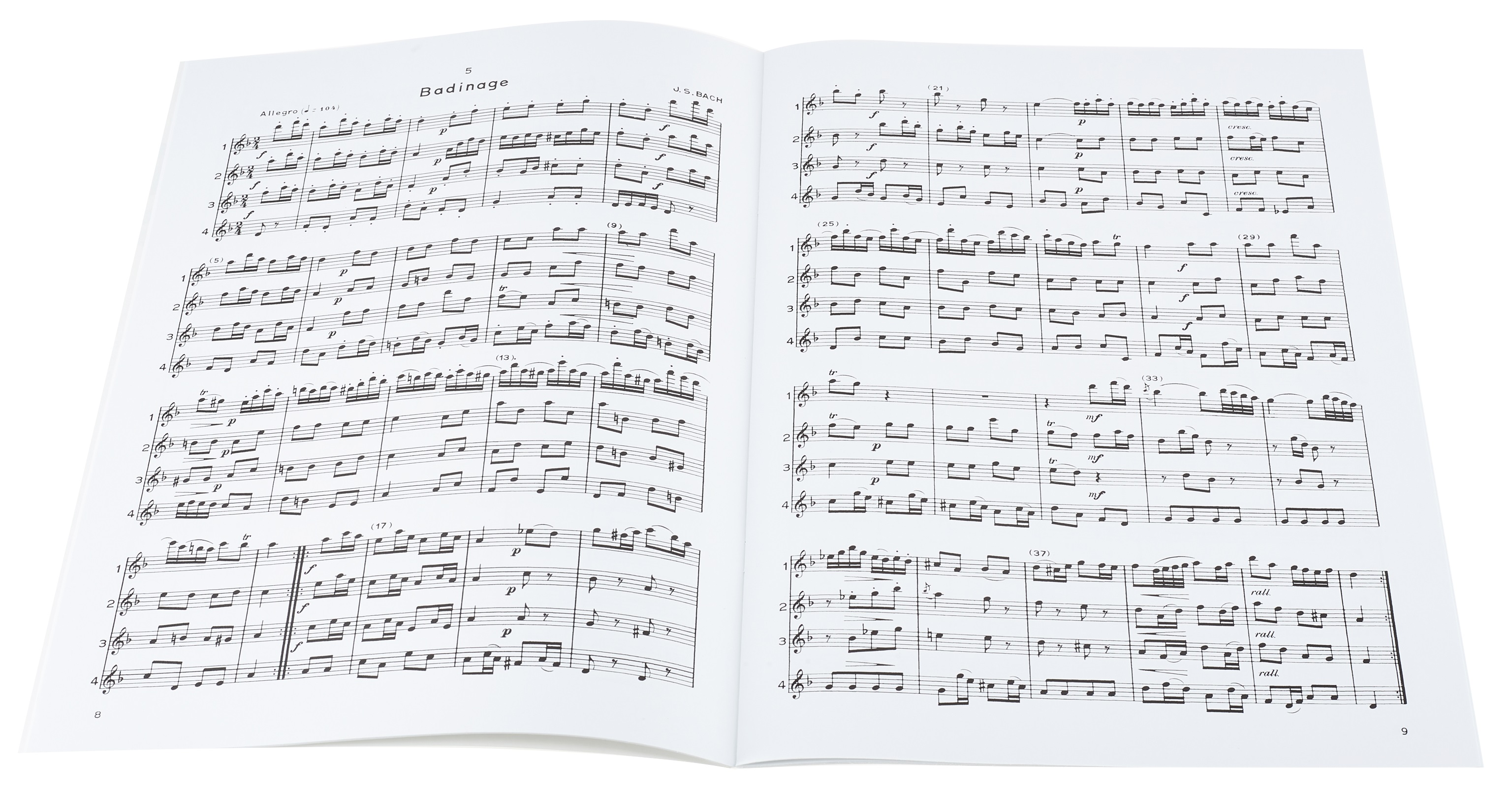 MS Flute Symphony (obrázek 4)