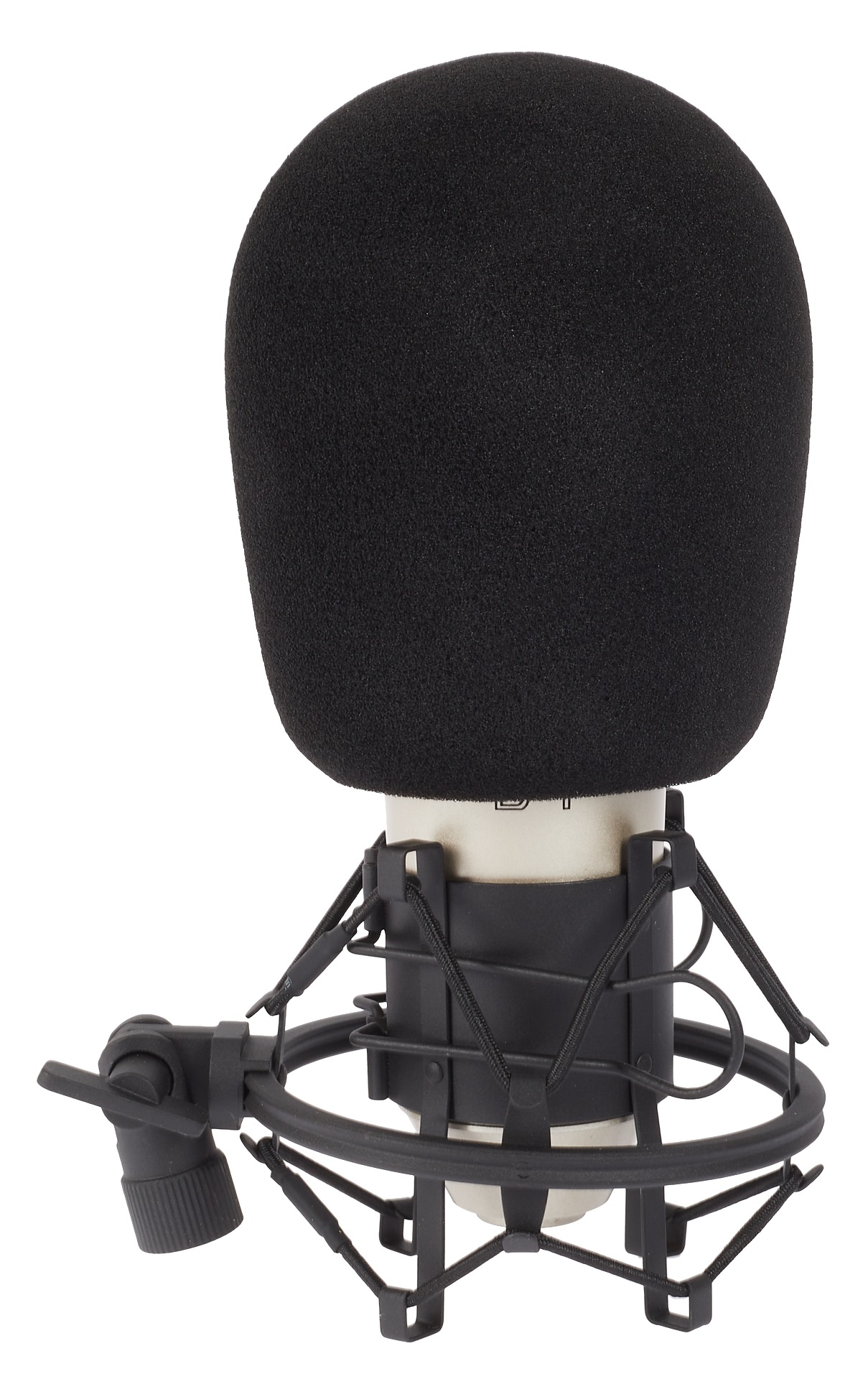 Behringer B-1 (obrázek 6)