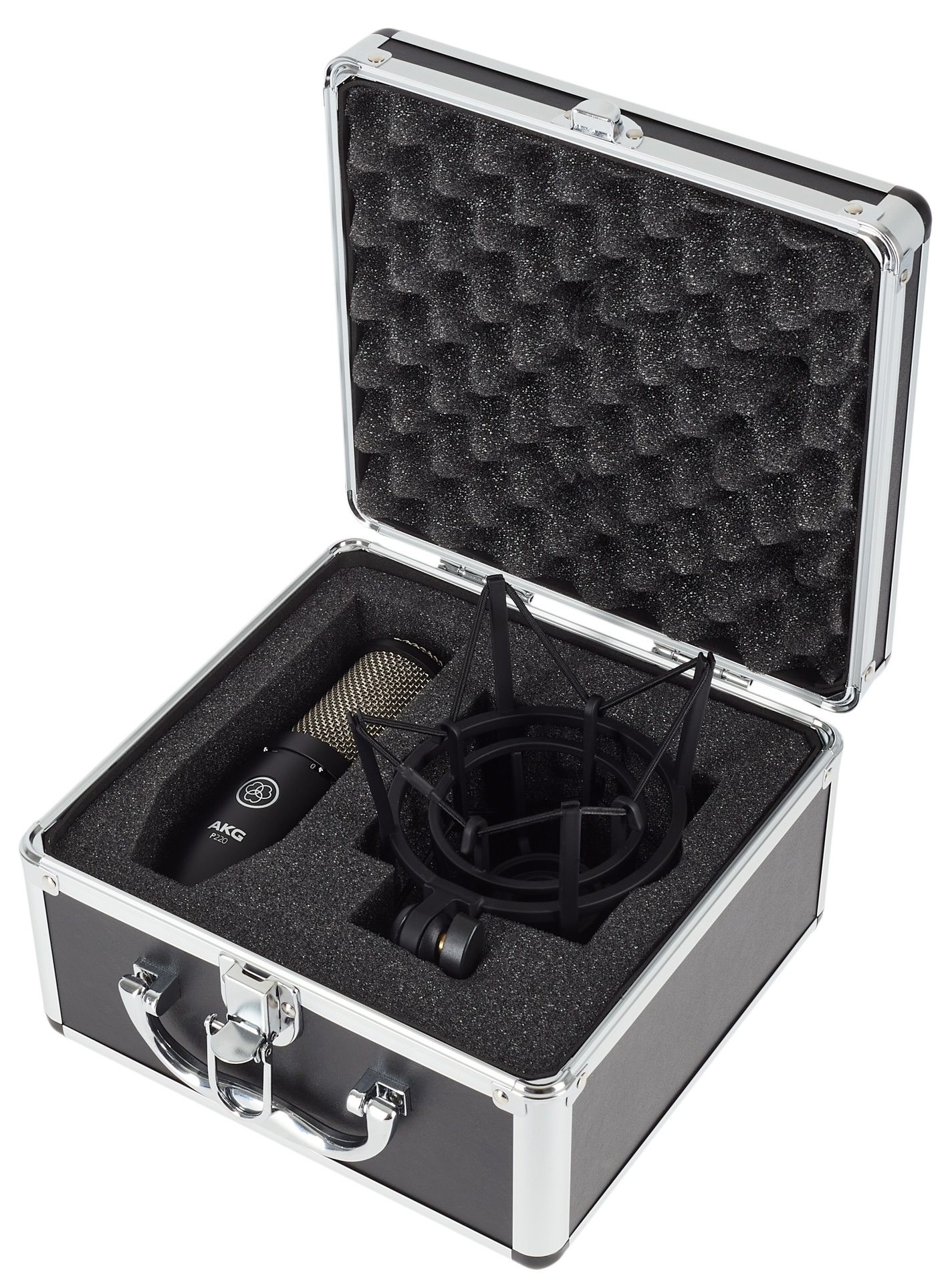 AKG P220 (obrázek 7)