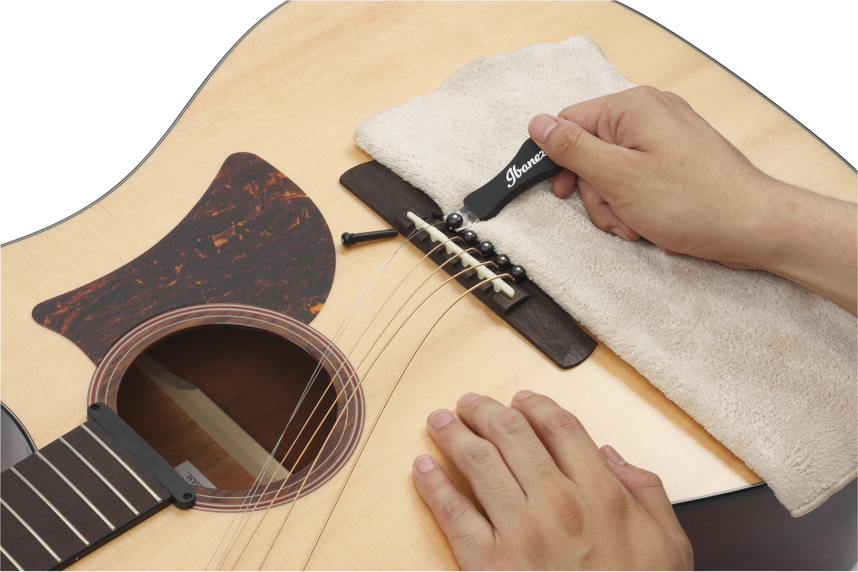 Ibanez IPP10 (obrázek 4)