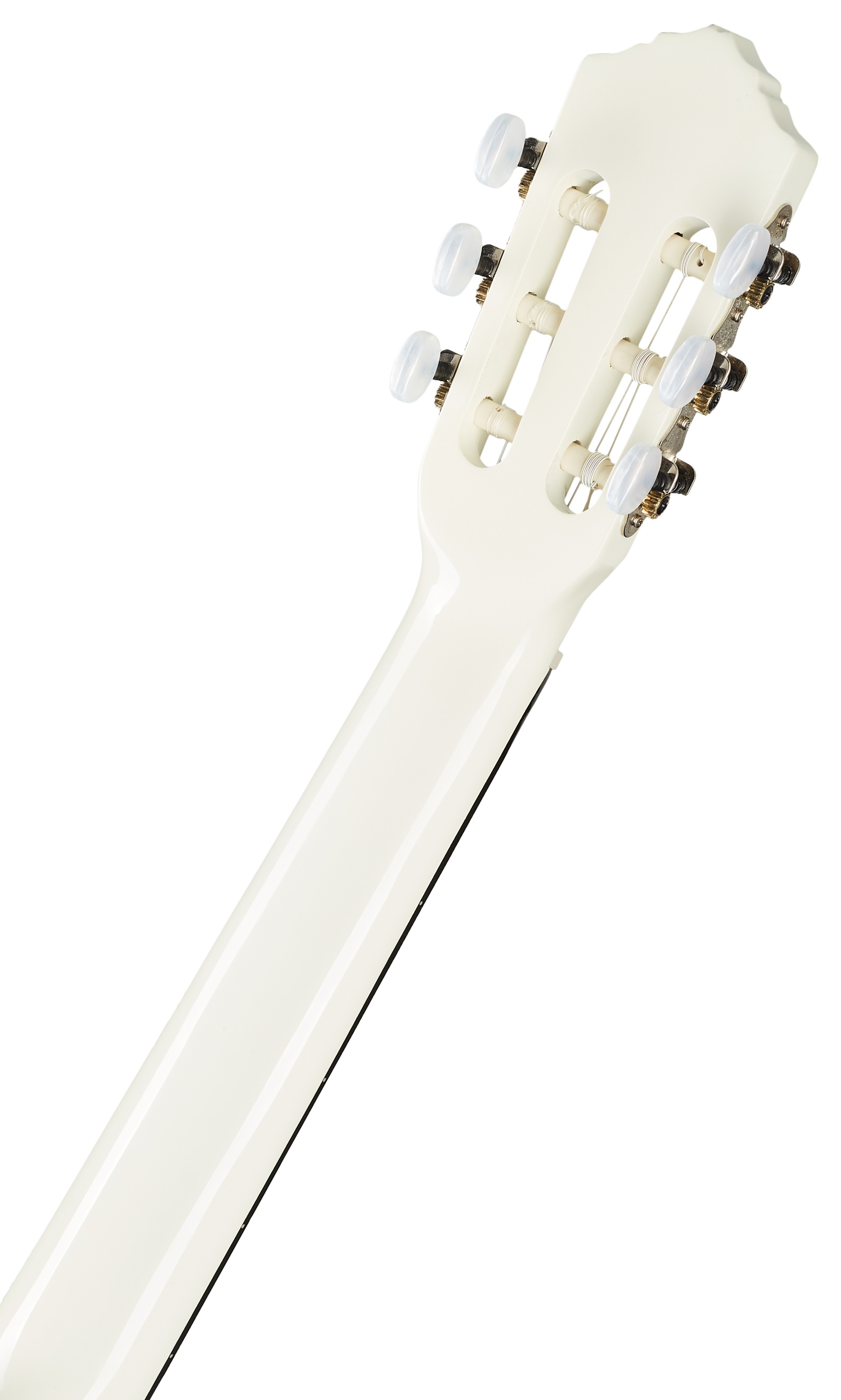 Ortega R121WH (obrázek 5)