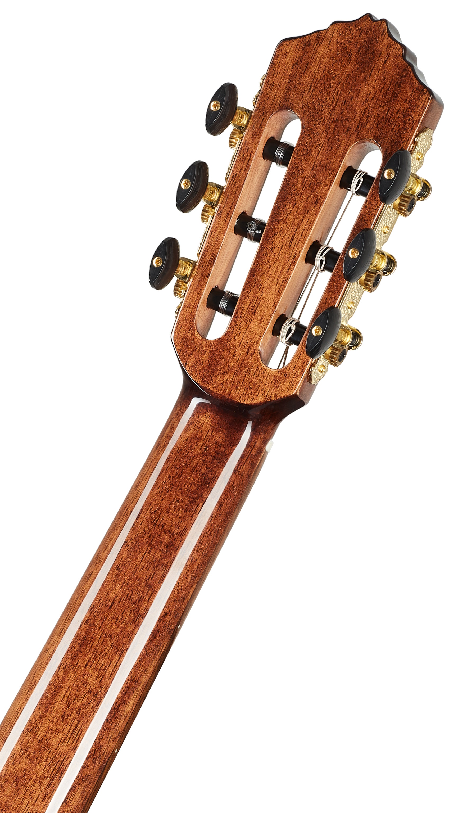 Ortega RCE158SN-TSB (obrázek 6)