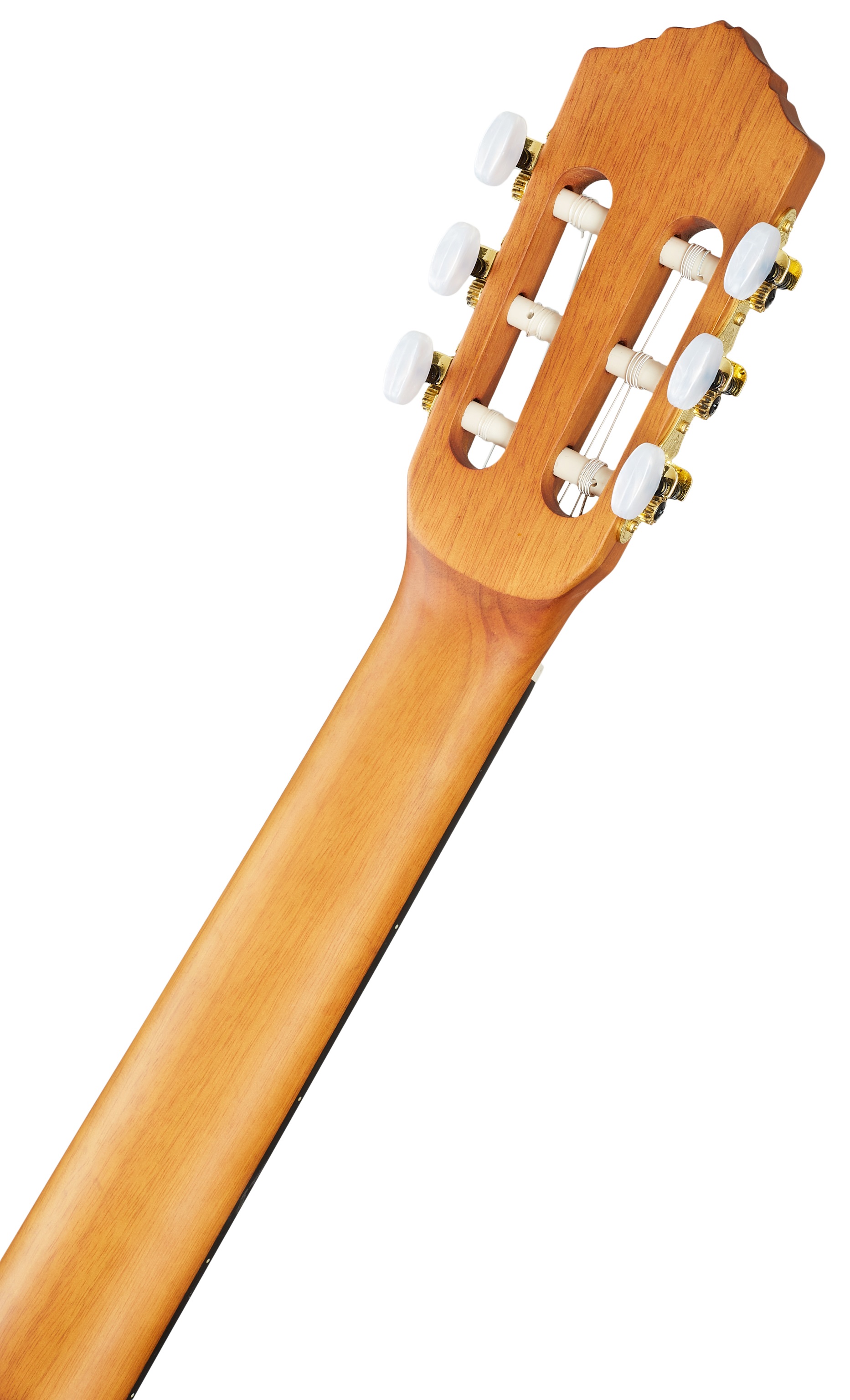 Ortega R131 (obrázek 5)