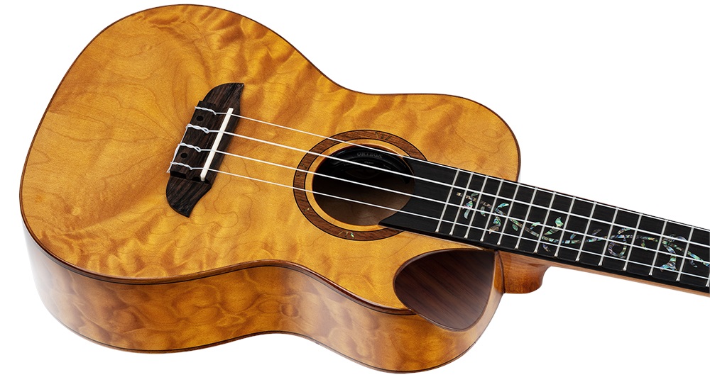 Ortega RUET-QMA (obrázek 3)