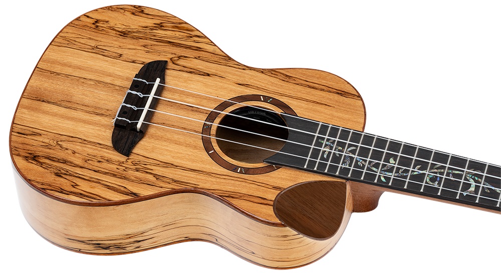 Ortega RUET-SMA (obrázek 3)