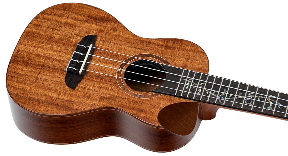 Ortega RUET-ACA (obrázek 3)