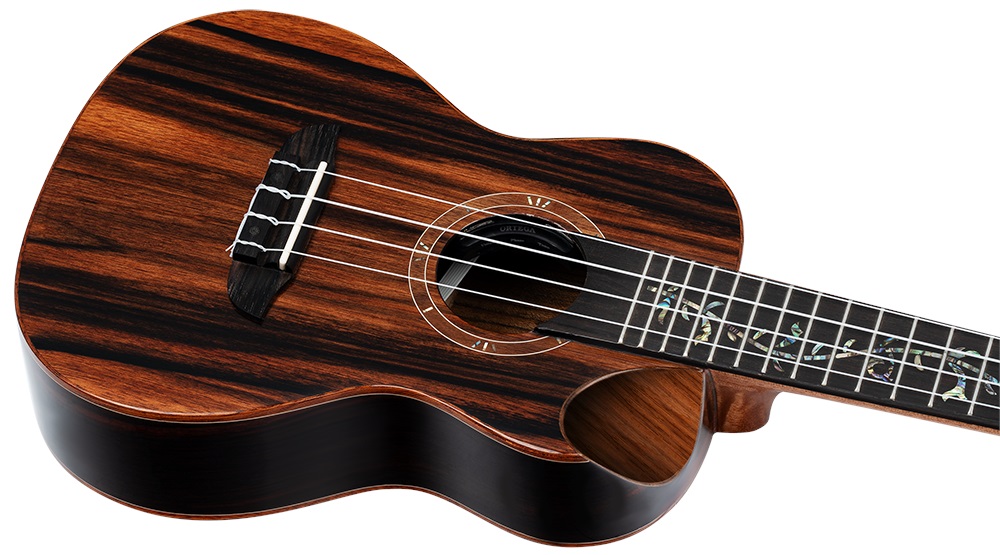 Ortega RUET-EB (použité) (obrázek 3)