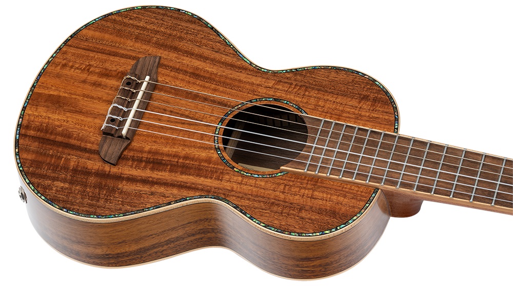 Ortega RGLE18ACA (obrázek 3)