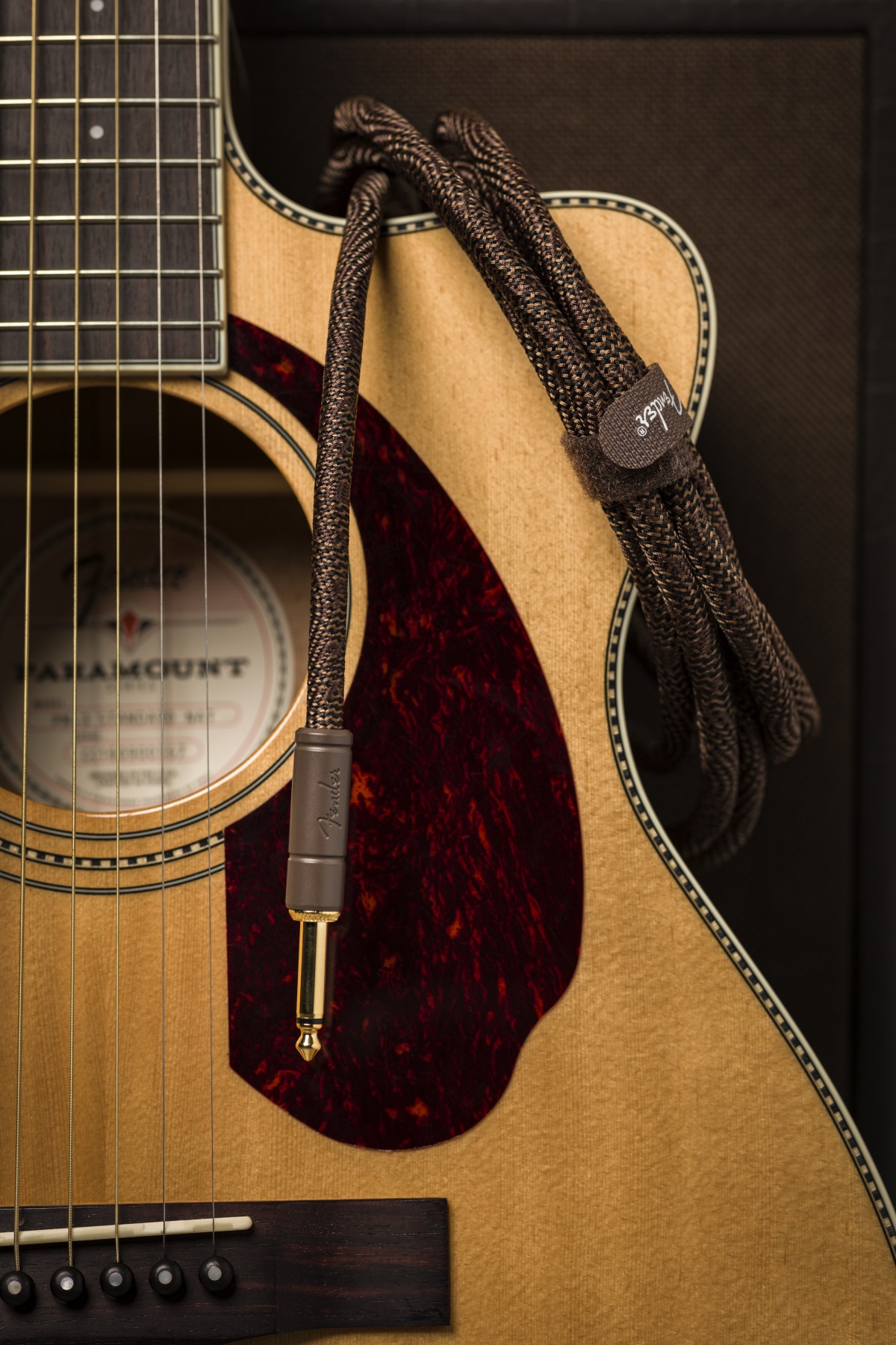 Fender Paramount Acoustic Instrument Cable 10' (obrázek 5)