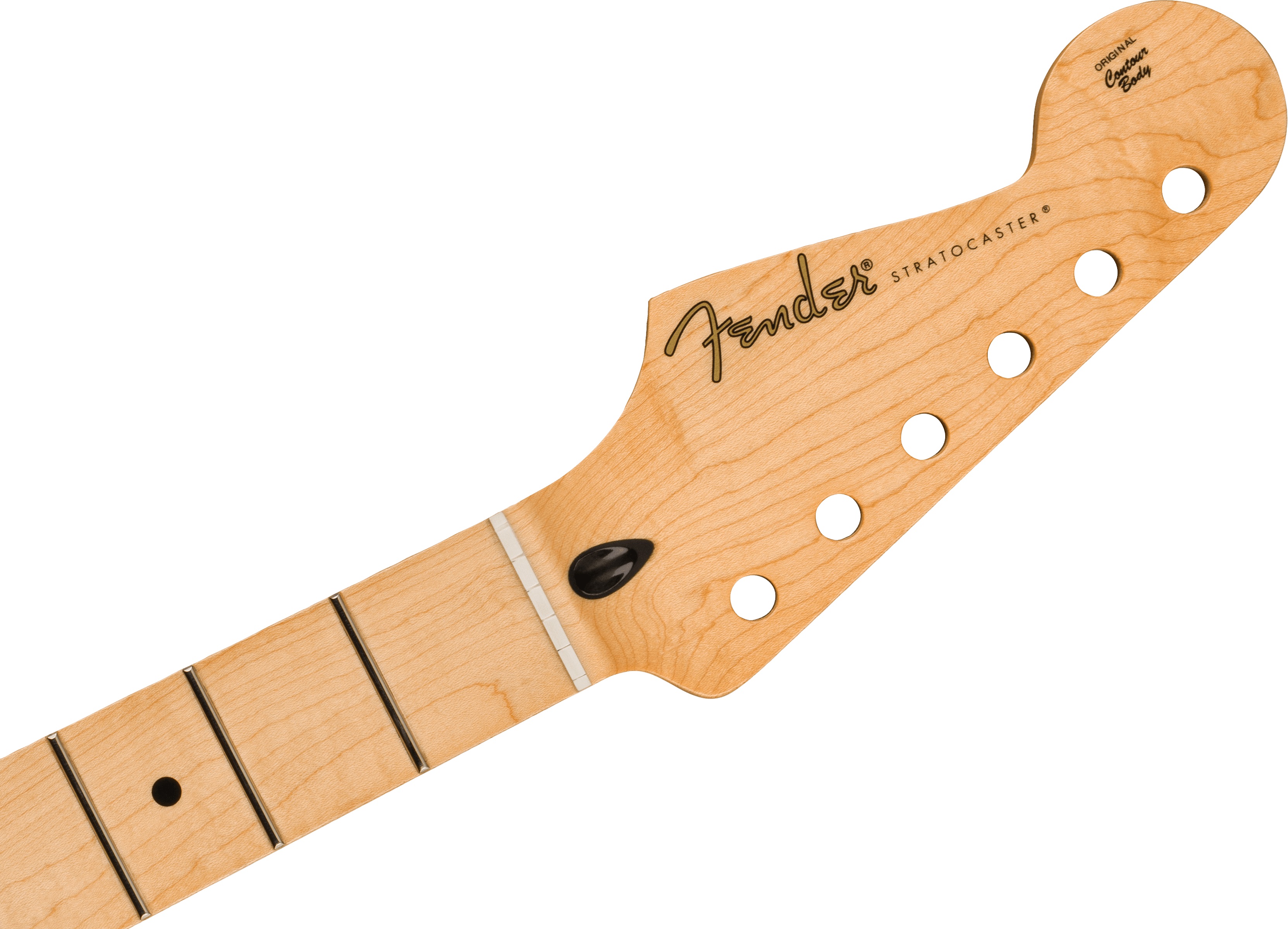 Fender Neck Player Stratocaster, Maple, Reverse Headstock (obrázek 3)