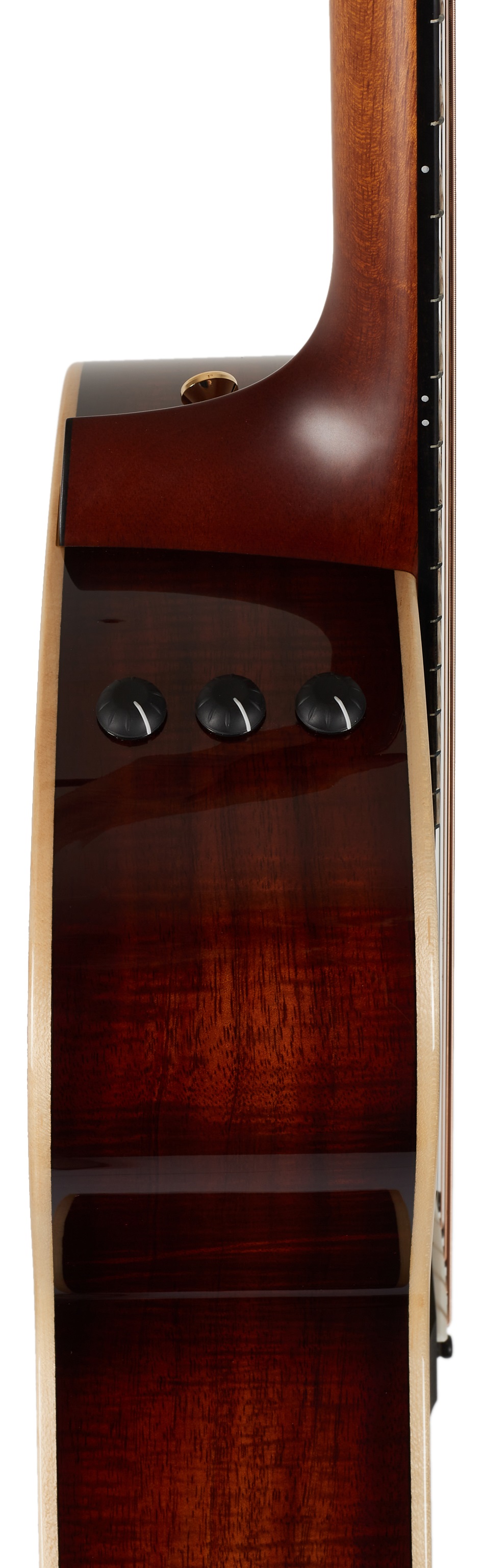 Taylor GT K21e (obrázek 6)