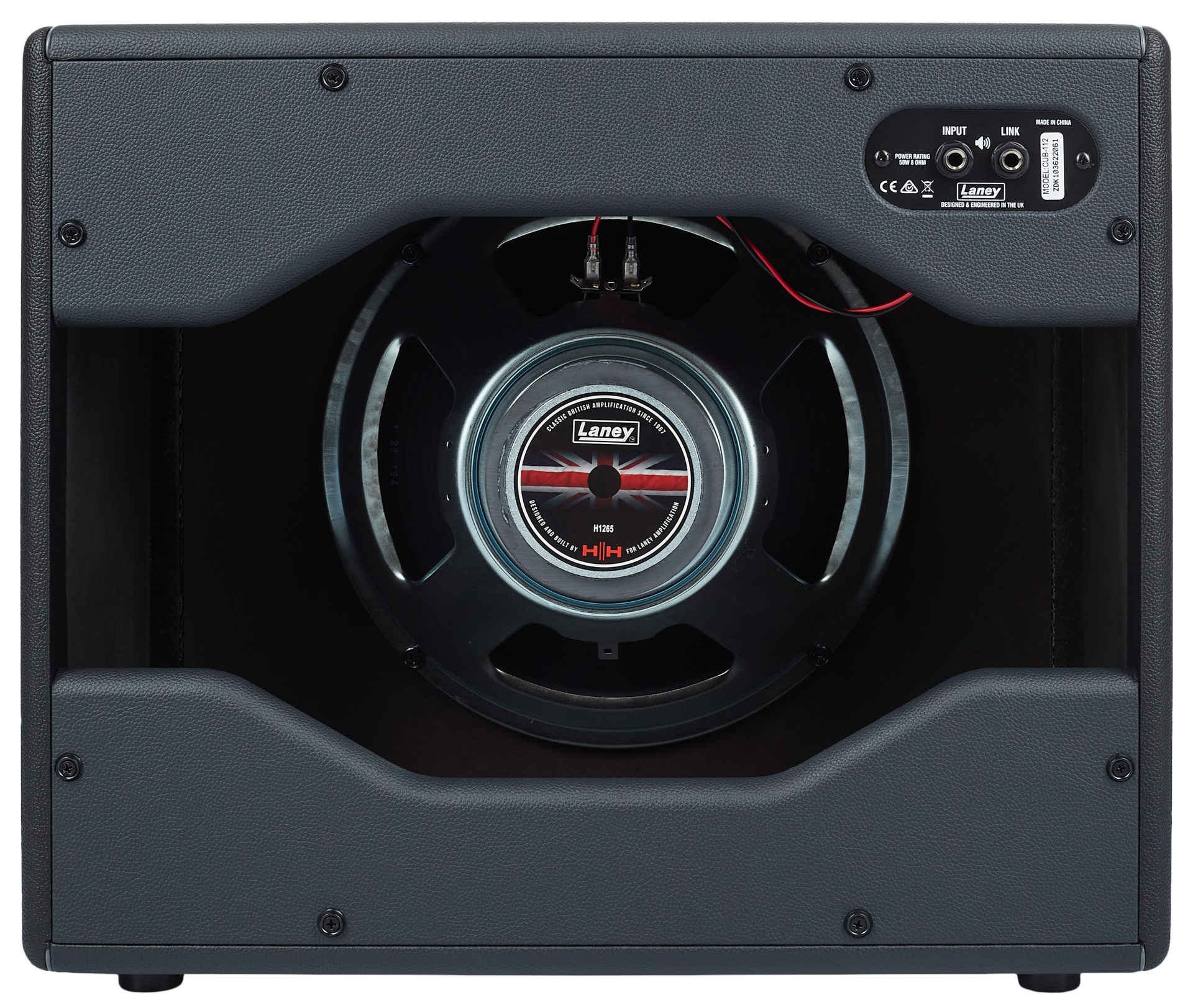 Laney Cub-112 (obrázek 4)