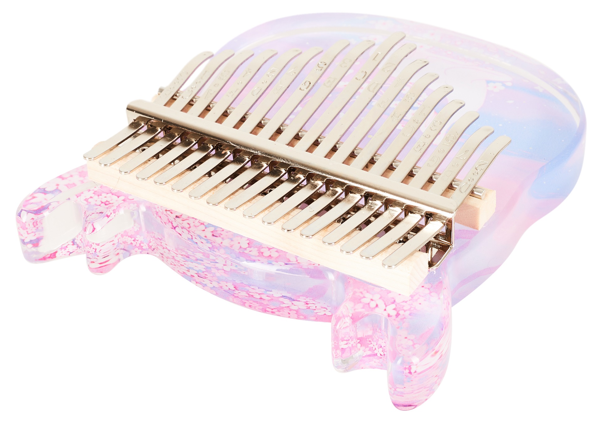 Cega CDC42 (obrázek 3)