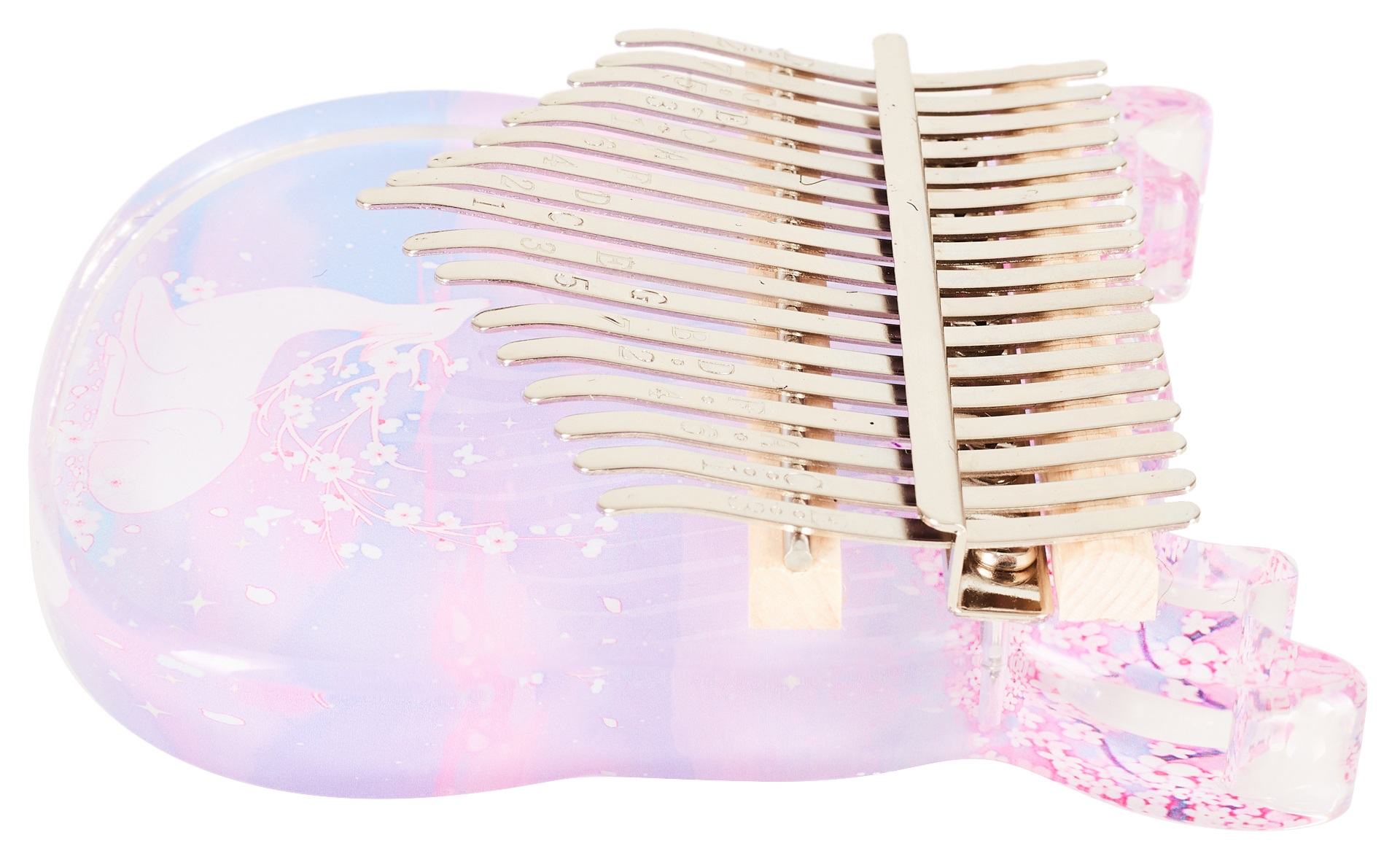 Cega CDC42 (obrázek 4)