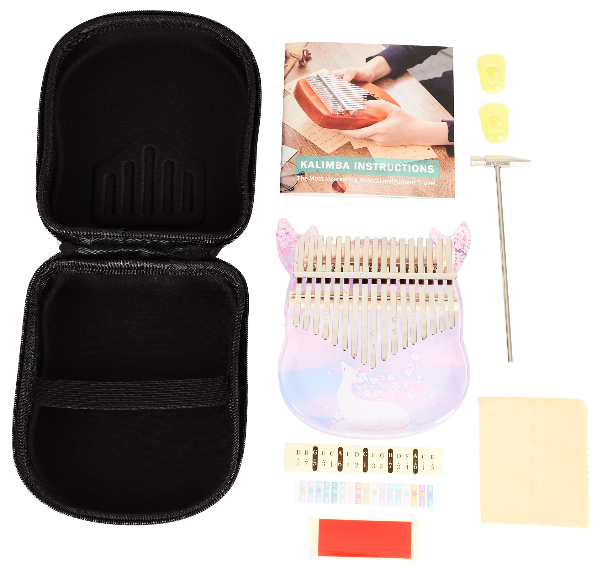 Cega CDC42 (obrázek 6)