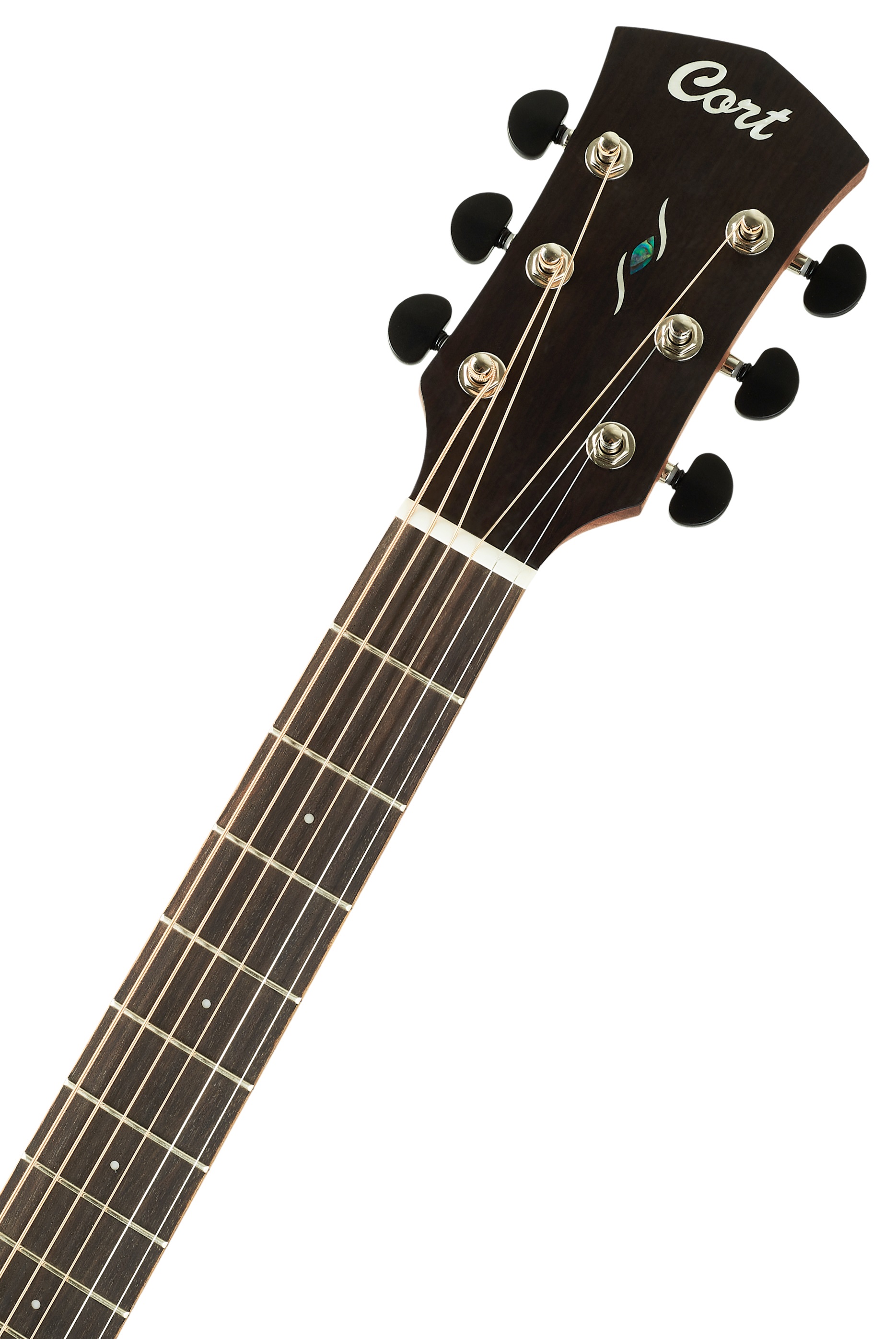 Cort Core-DC Mahogany OPBB (obrázek 5)