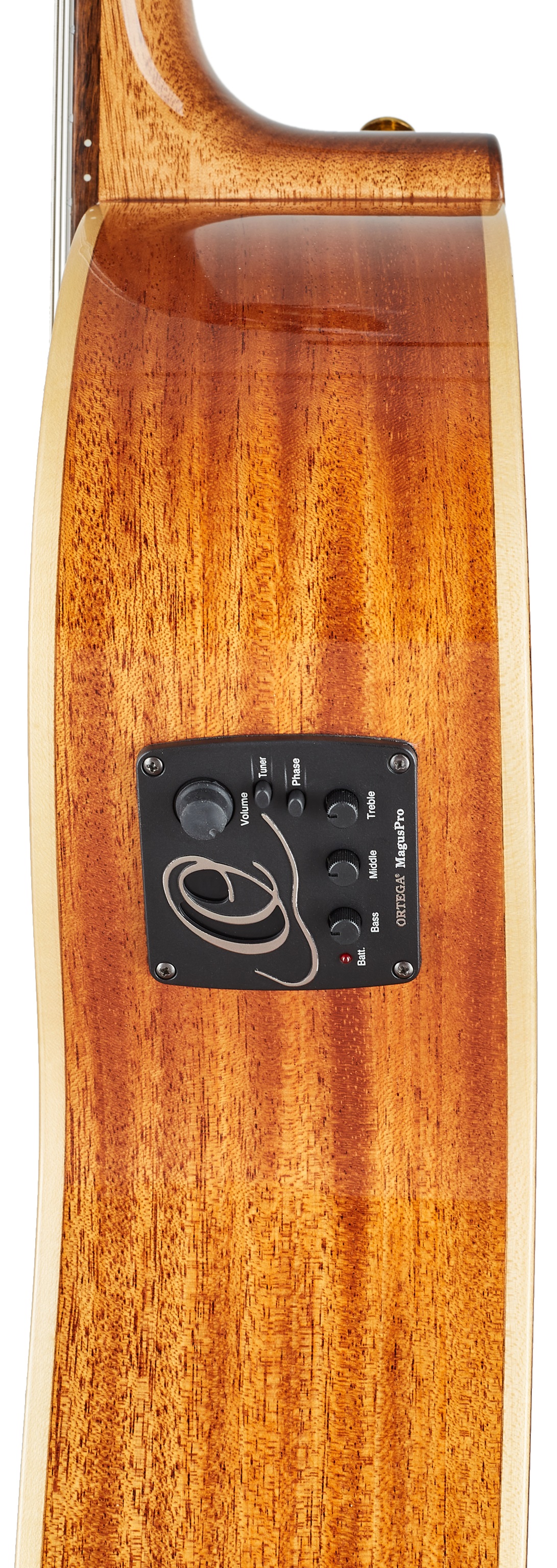 Ortega RCE138SN-L (obrázek 4)