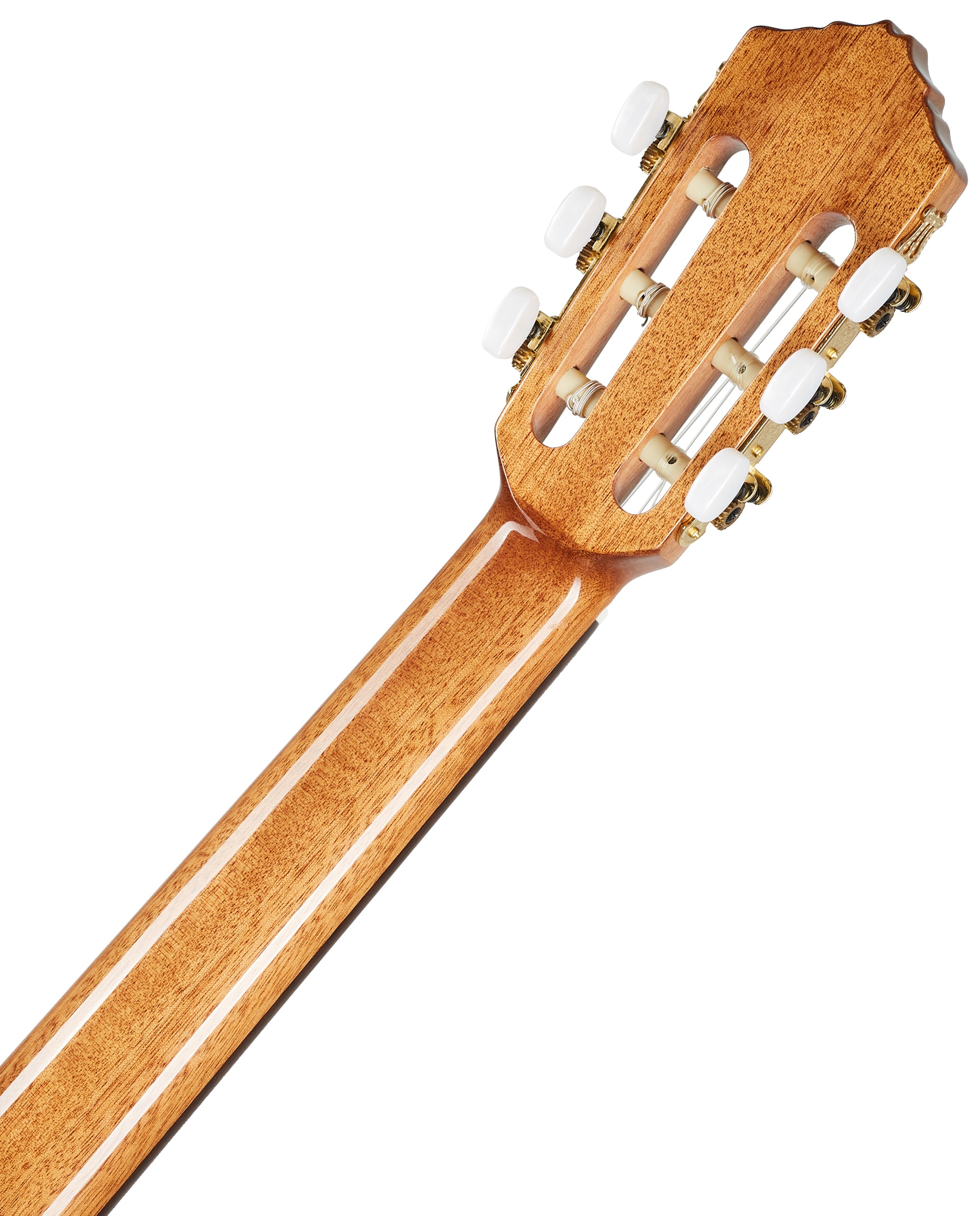 Ortega RCE138SN-L (obrázek 6)