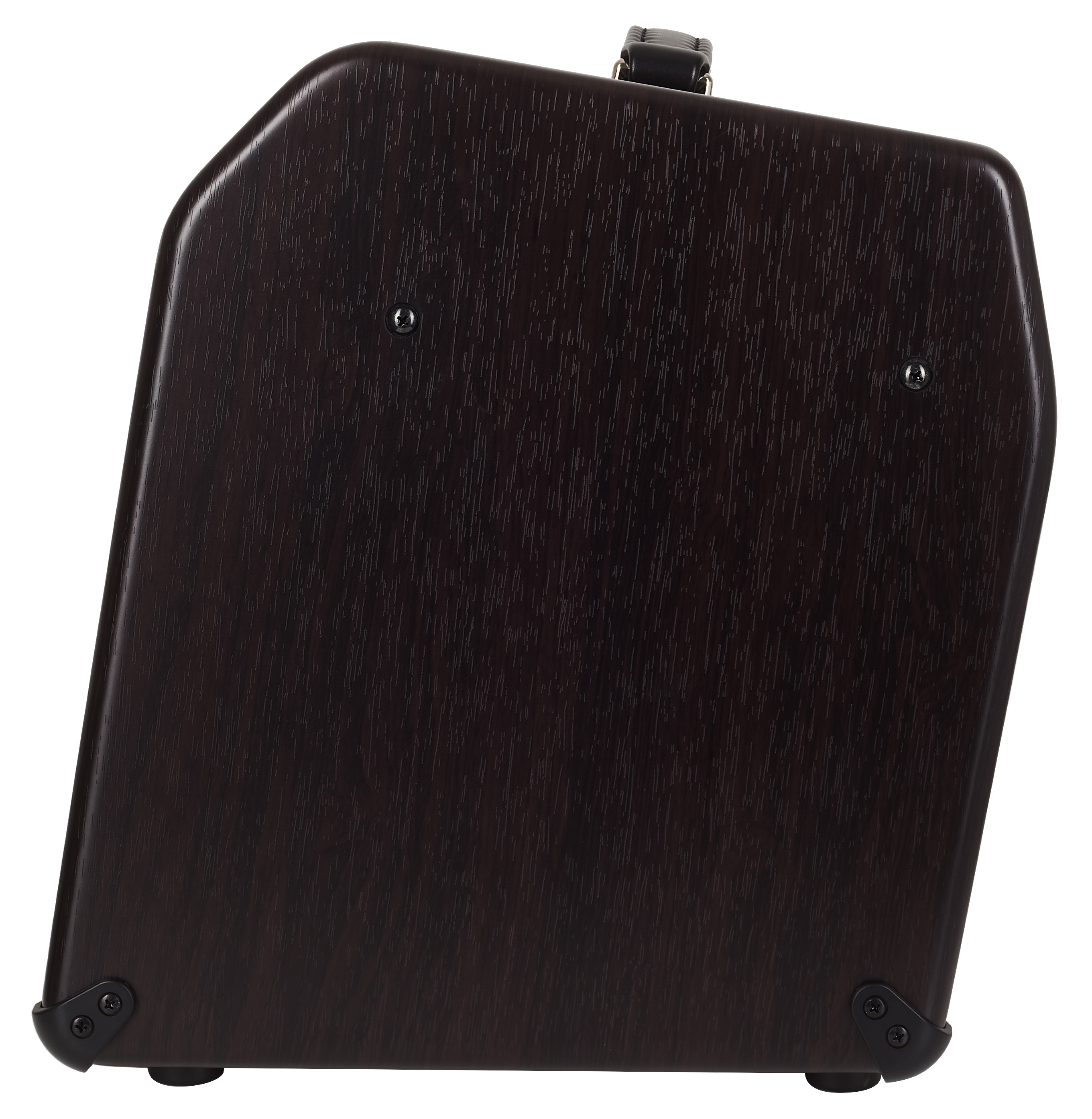 Boss Acoustic Singer Pro (obrázek 4)