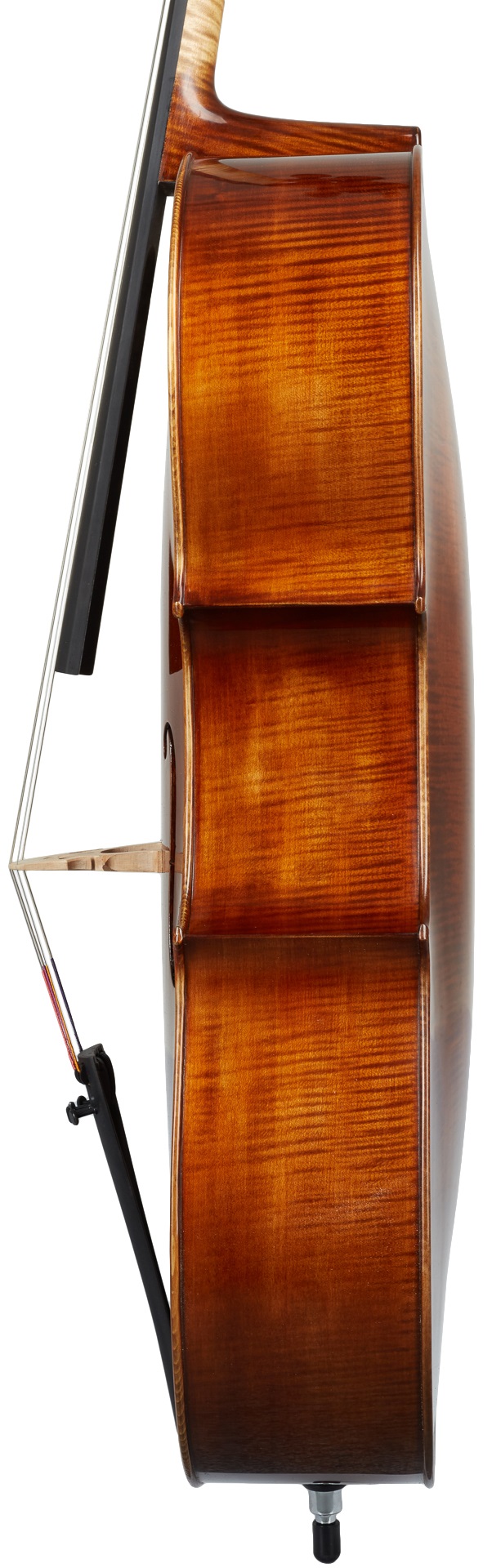 Gewa Georg Walther Cello 4/4 (obrázek 3)