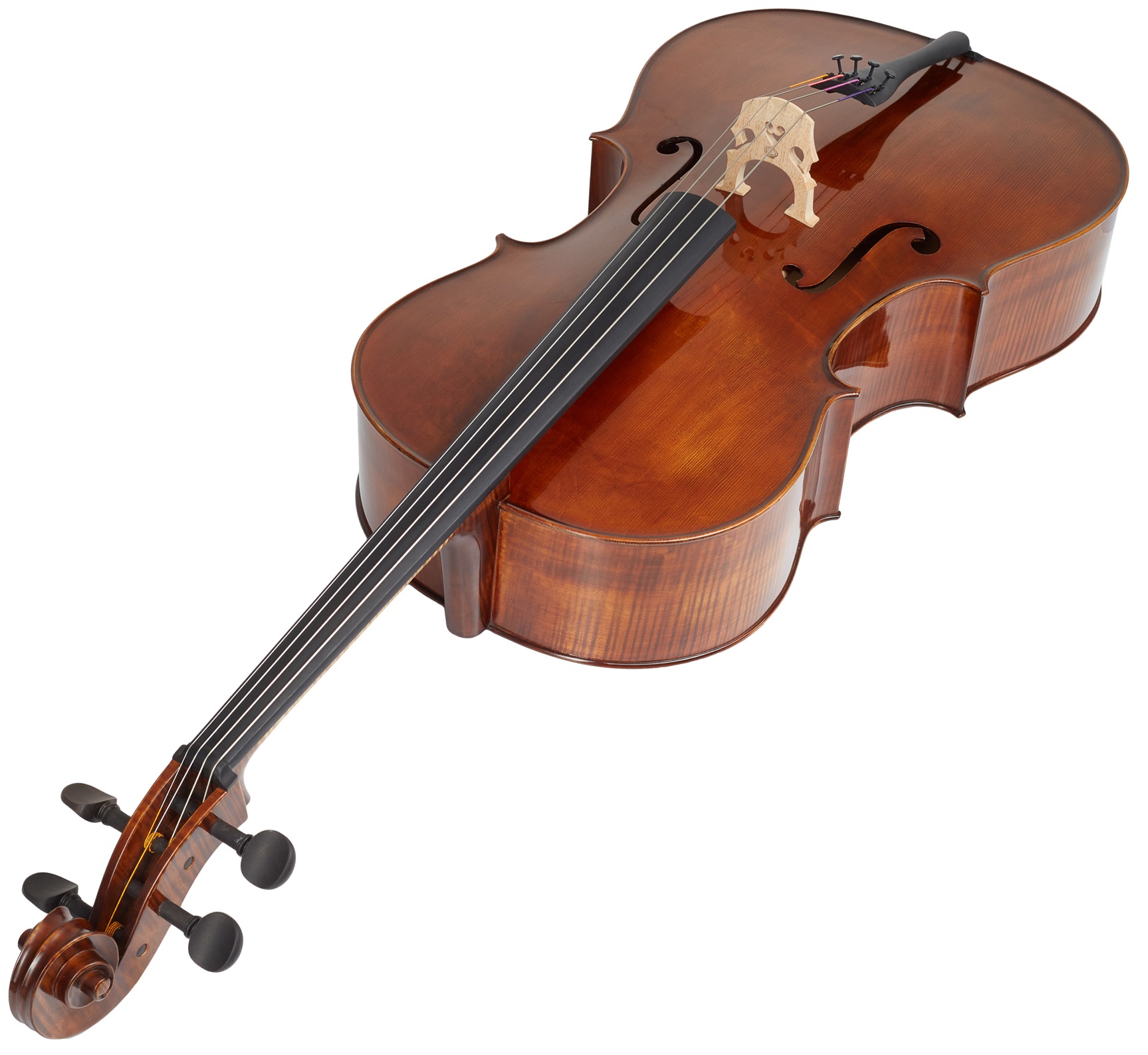 Gewa Georg Walther Cello 4/4 (obrázek 5)