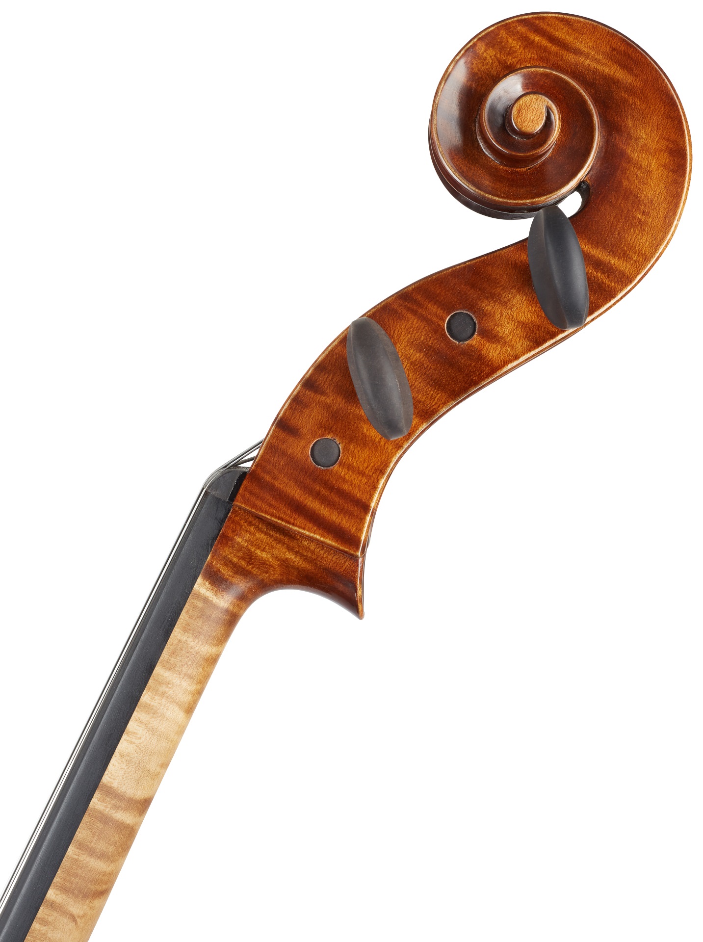 Gewa Georg Walther Cello 4/4 (obrázek 9)