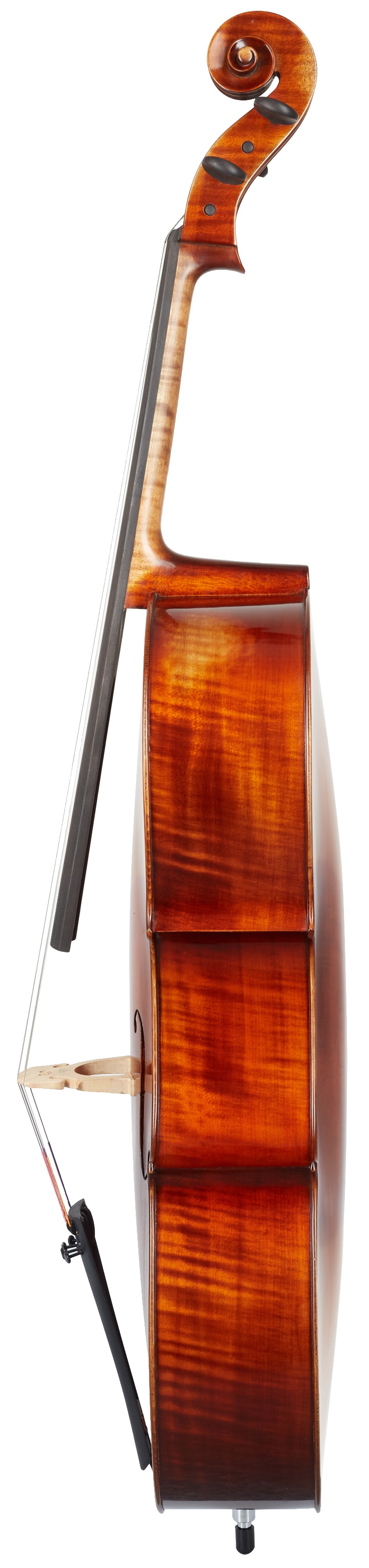 Gewa Germania Cello 4/4 (obrázek 3)