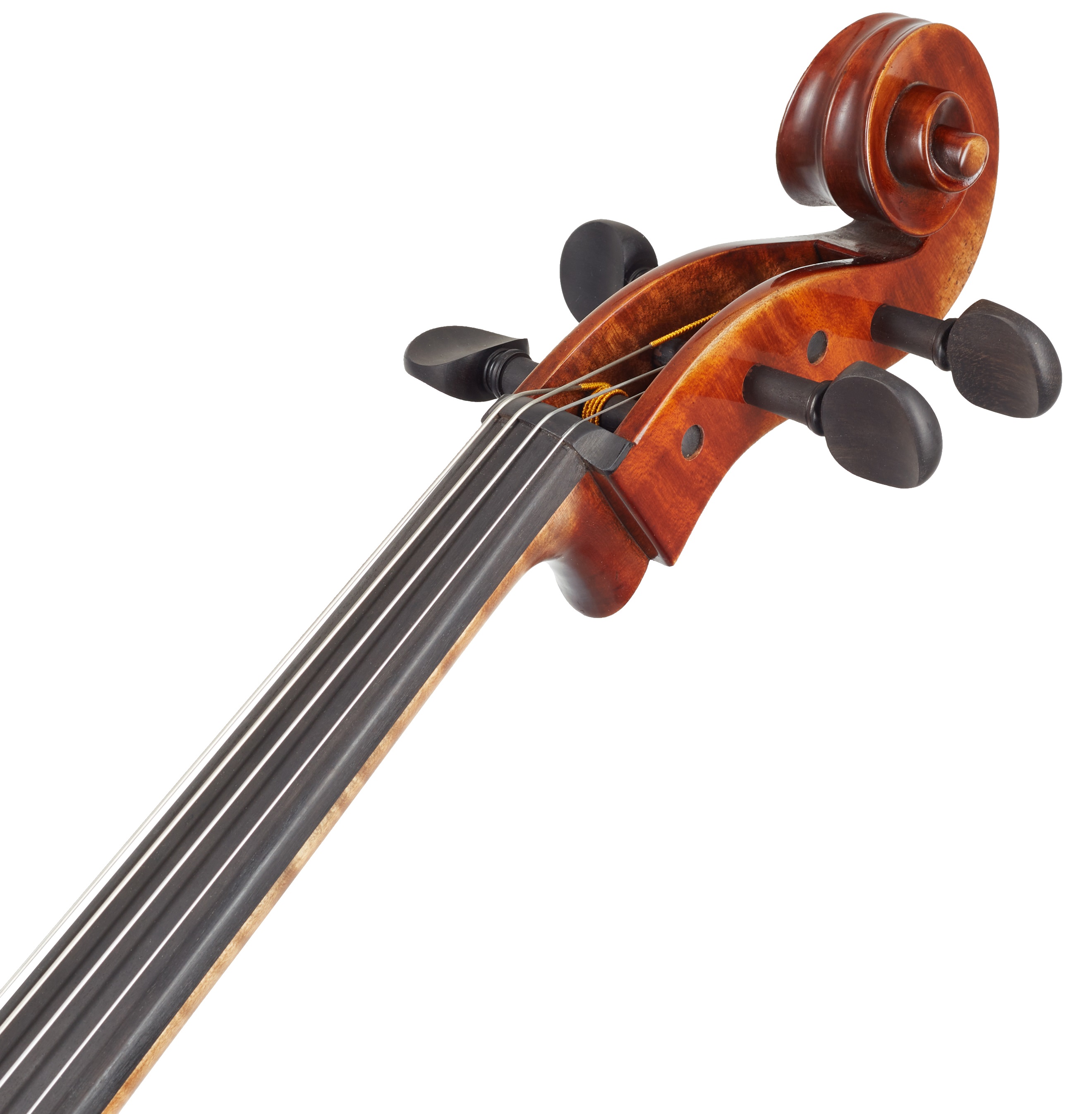 Gewa Germania Cello 4/4 (obrázek 8)