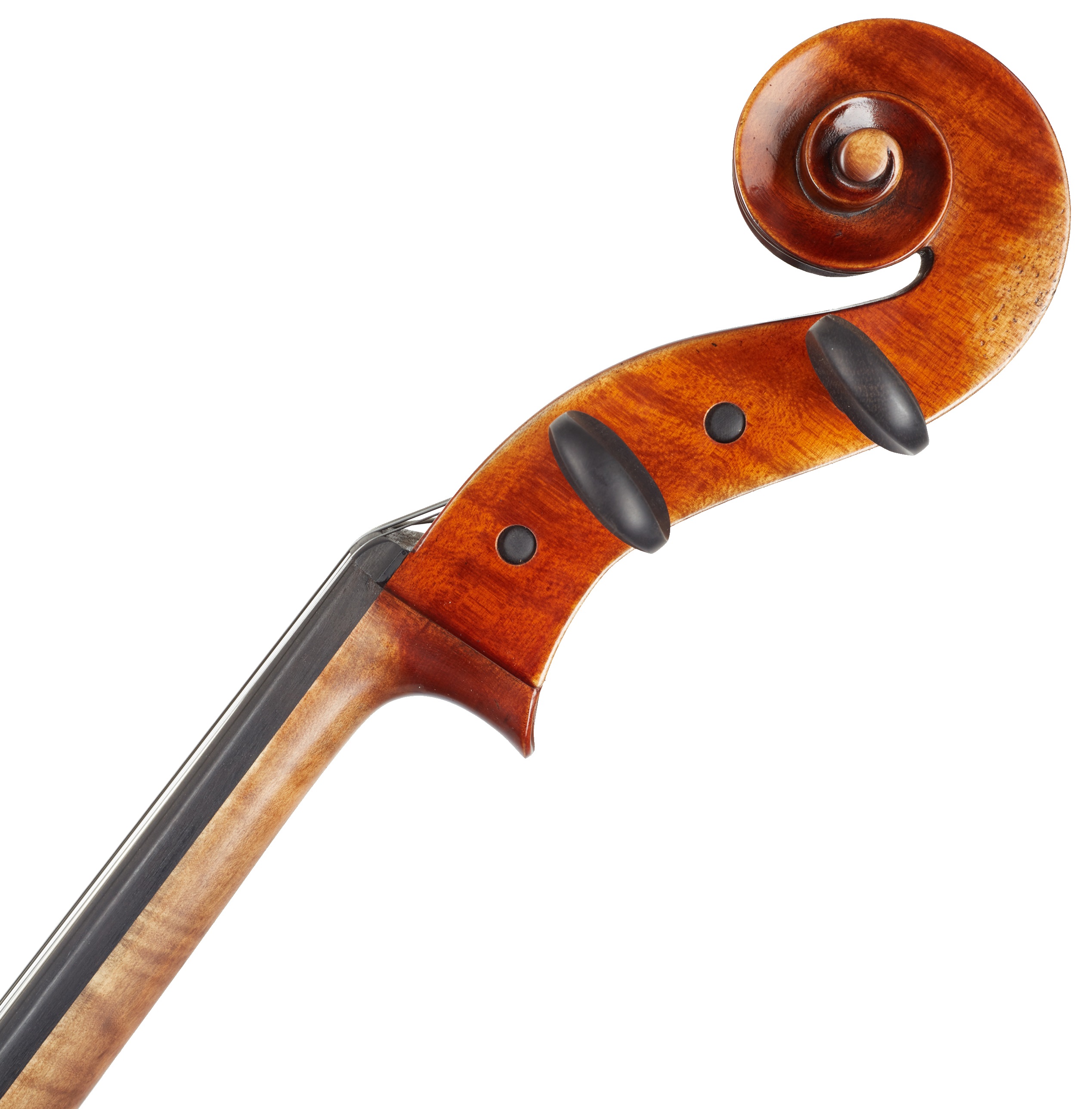 Gewa Germania Cello 4/4 (obrázek 9)
