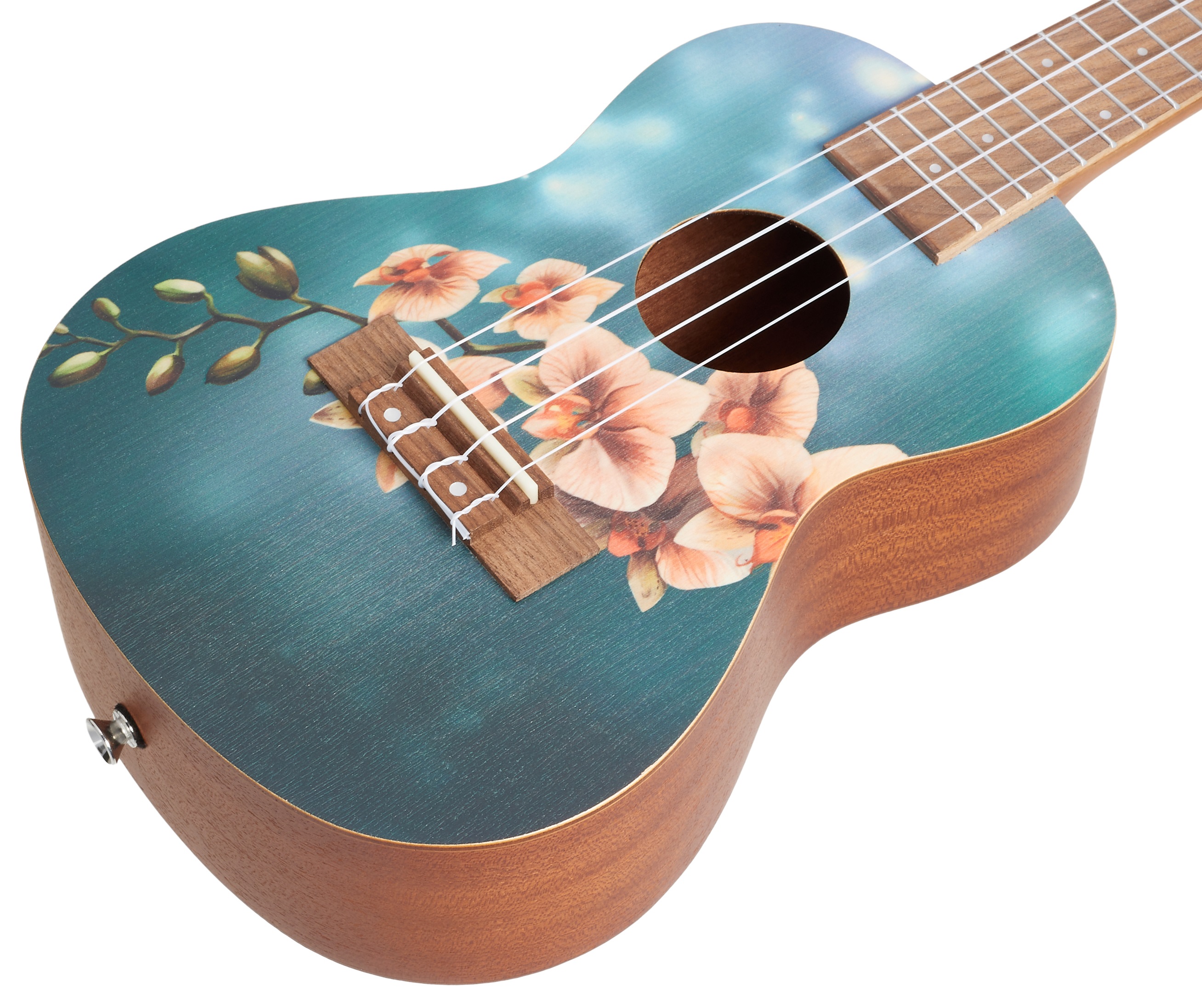 Flight AUC-33 Orchid (obrázek 3)