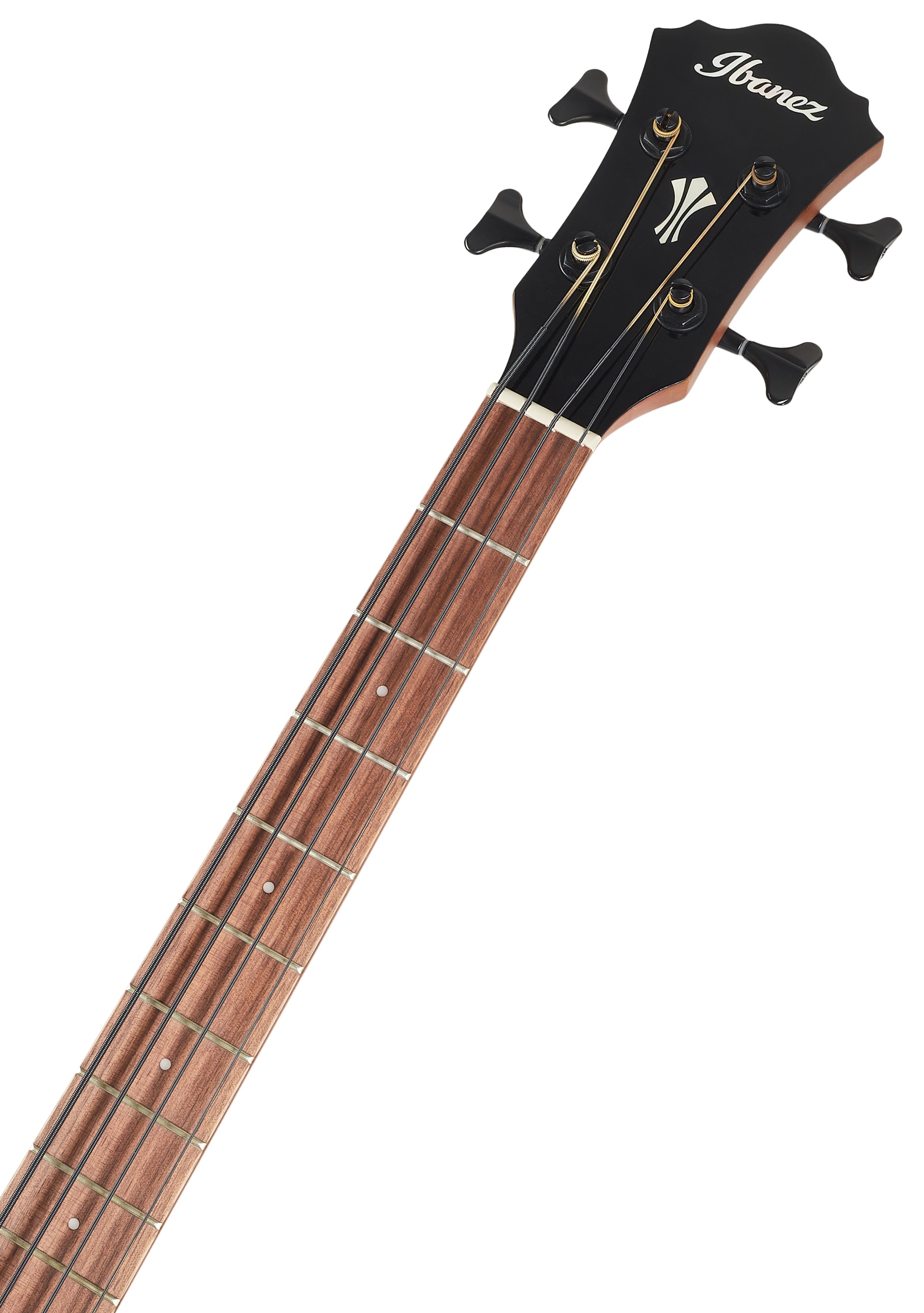Ibanez AEGB24E Black (obrázek 5)