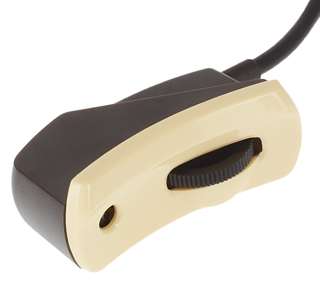 L.R. Baggs Anthem-SL (obrázek 4)