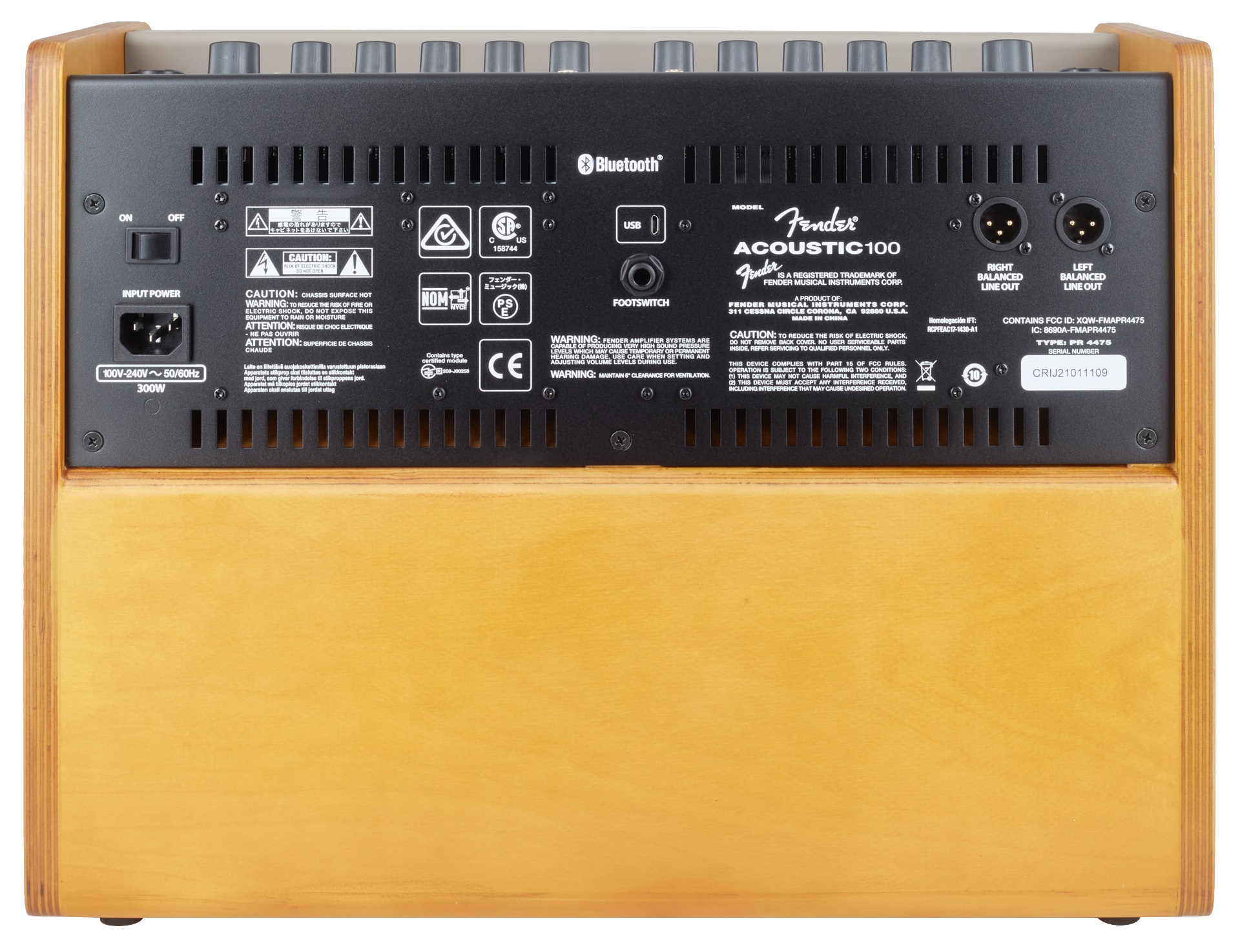 Fender Acoustic 100 (obrázek 5)