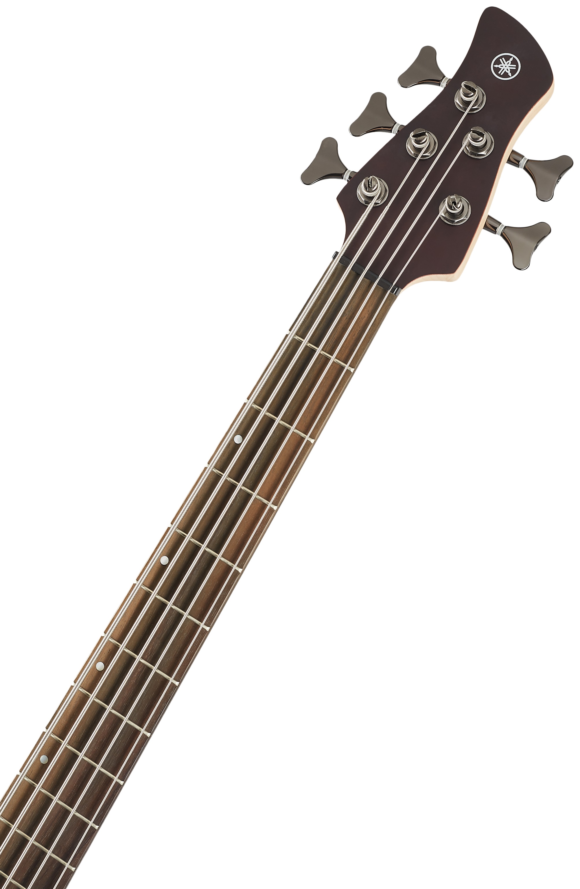 Yamaha TRBX505 TBN (obrázek 4)