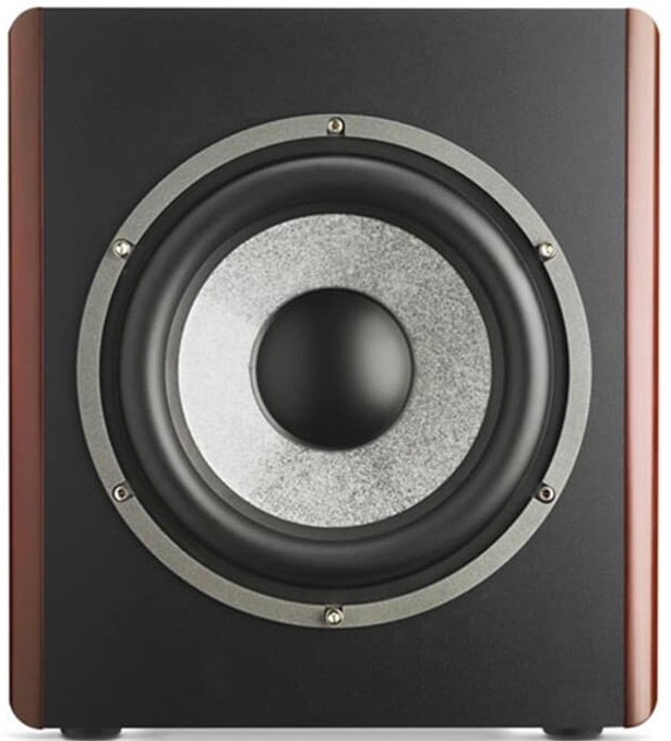 Levně Focal Sub6 Red Burr Ash