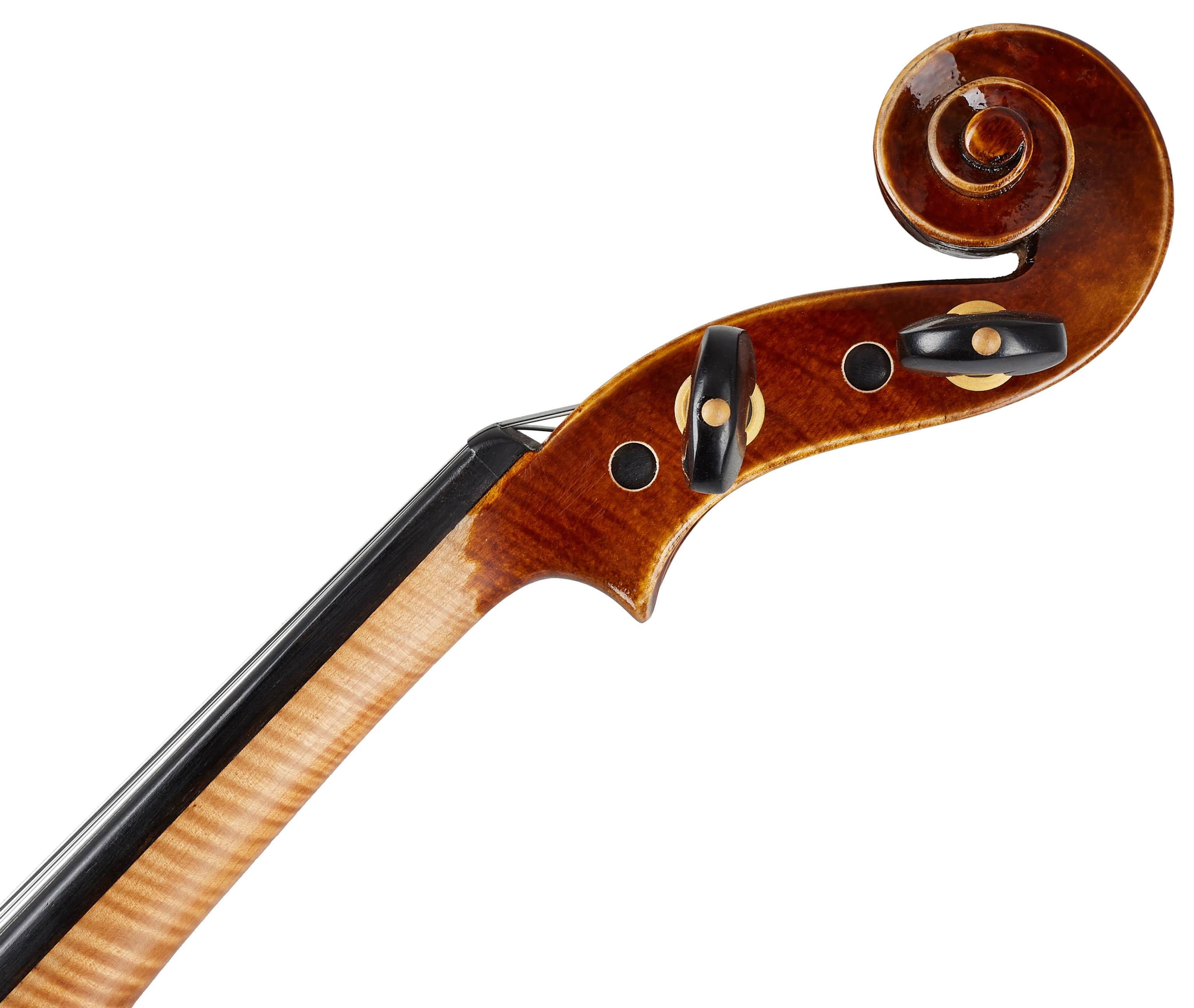 Bacio Instruments AVA100S (obrázek 5)