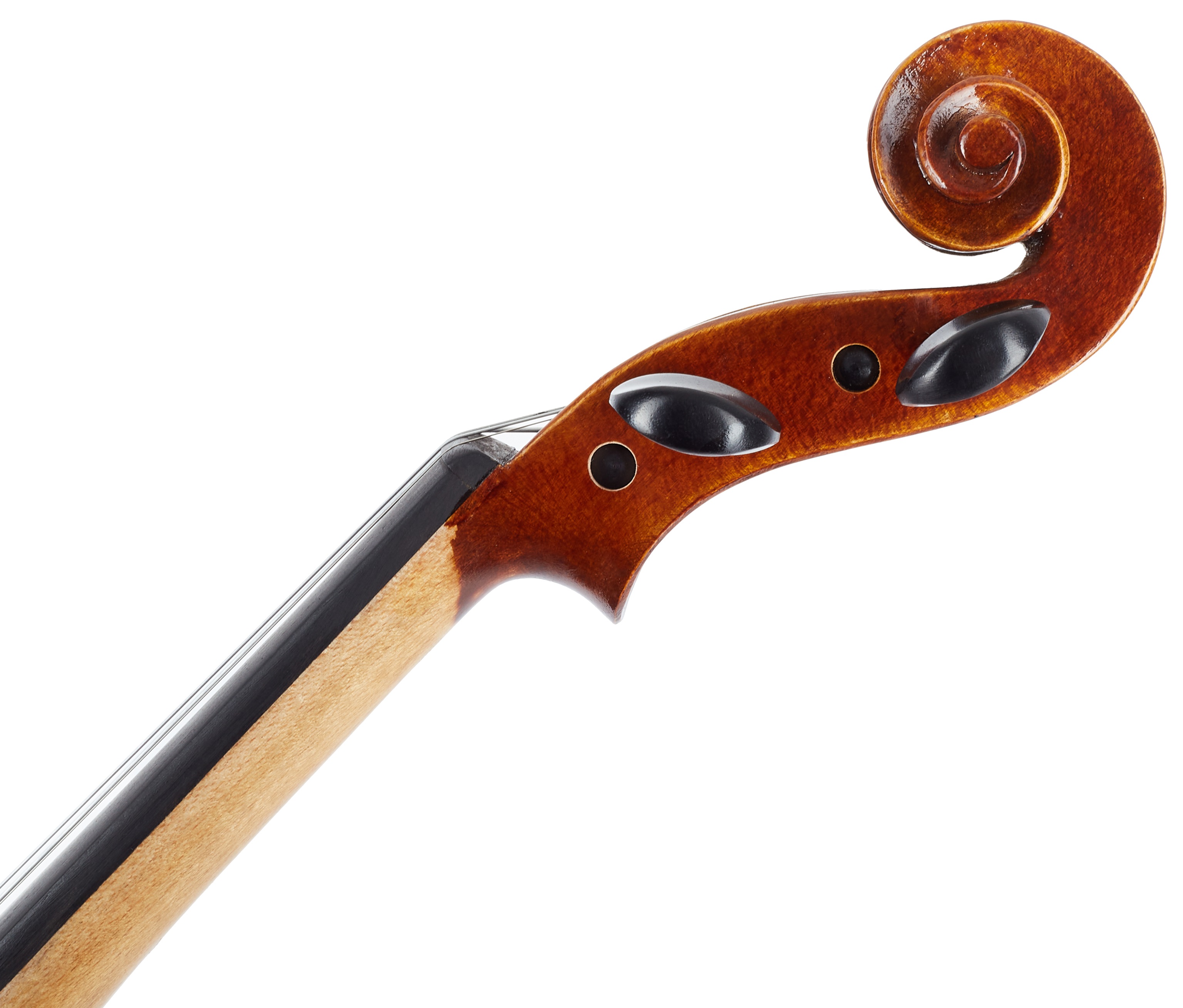 Bacio Instruments AV50 (obrázek 5)