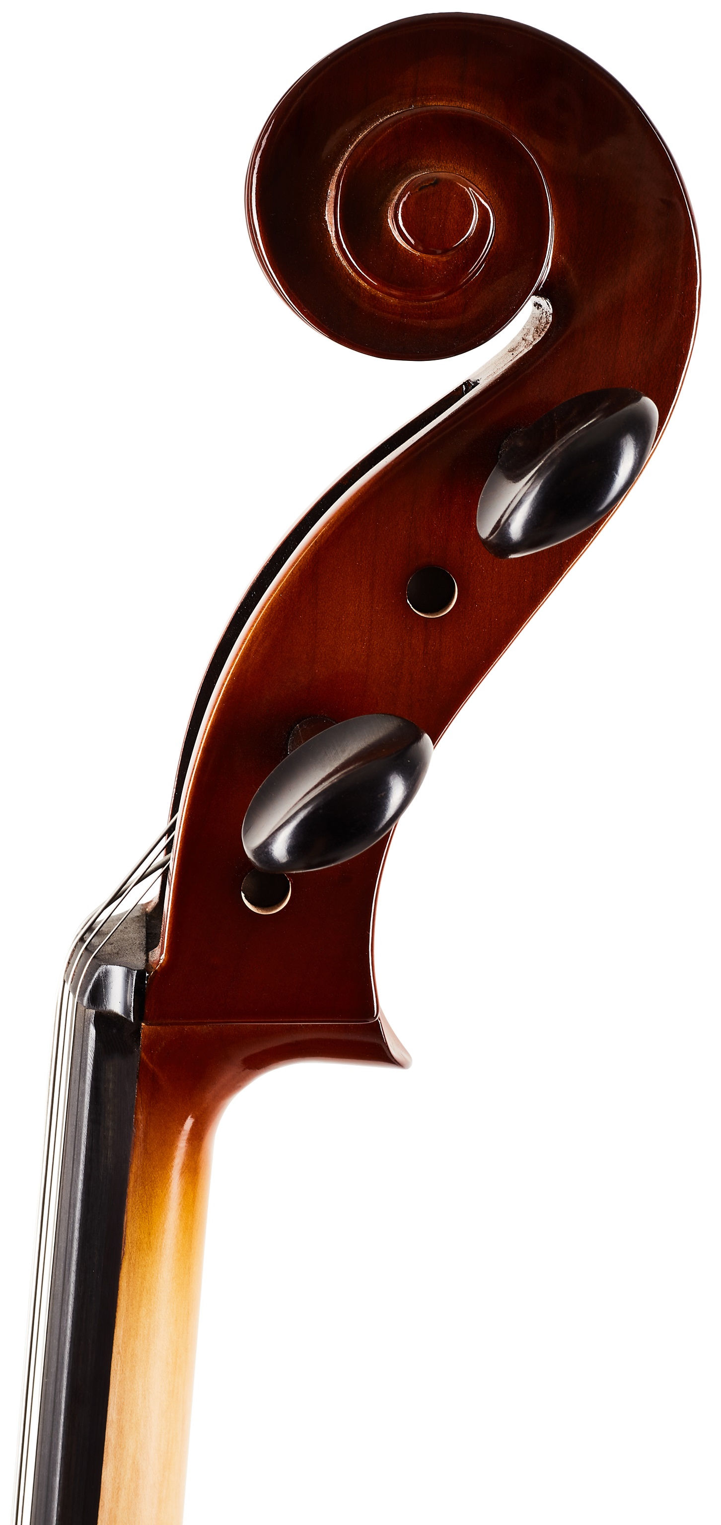Bacio Instruments Student Cello (GC104) 4/4 (obrázek 6)