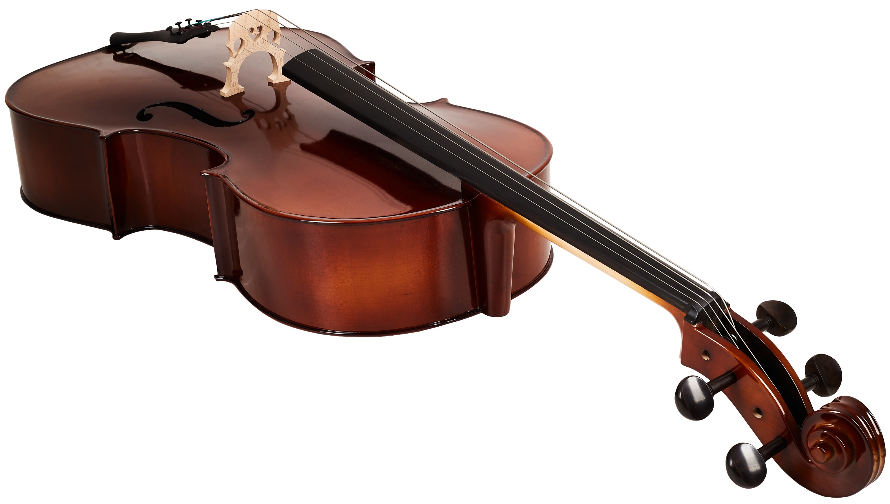 Bacio Instruments Student Cello (GC104) 4/4 (obrázek 7)