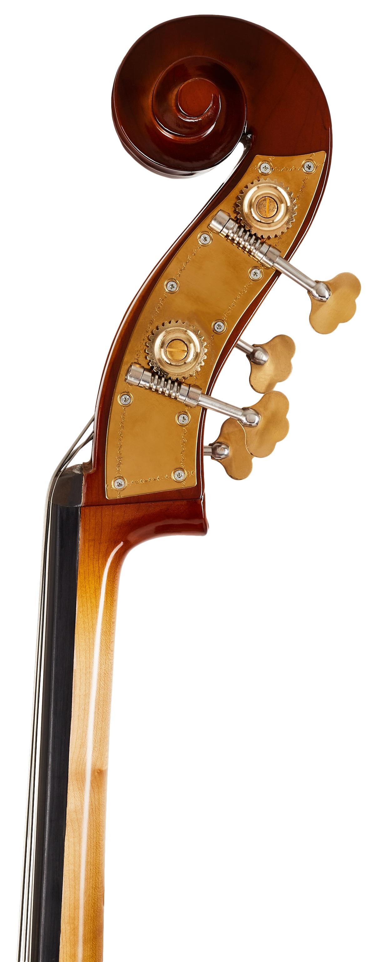 Bacio Instruments GB010 Advanced Bass 3/4 (obrázek 7)