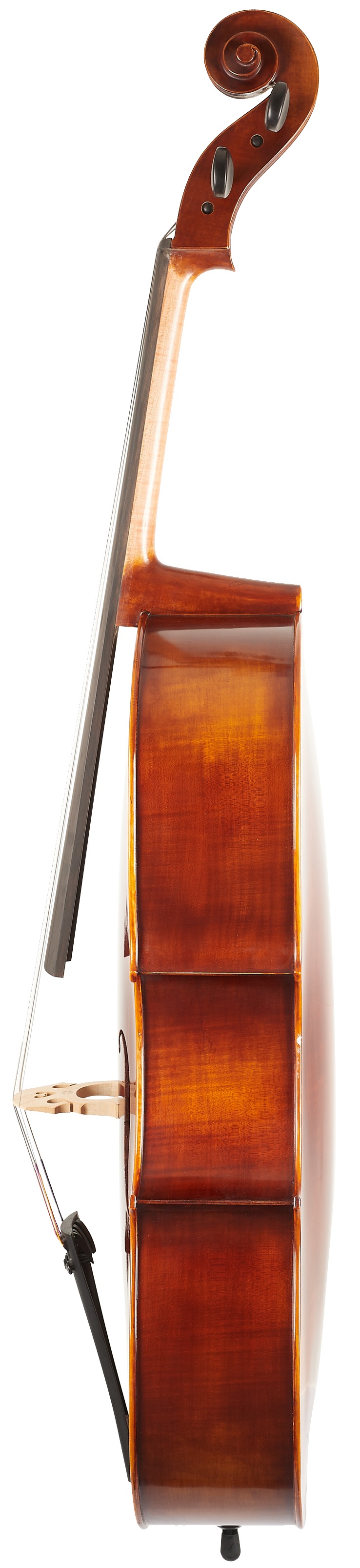 Gewa Maestro 6 Cello 4/4 (obrázek 3)