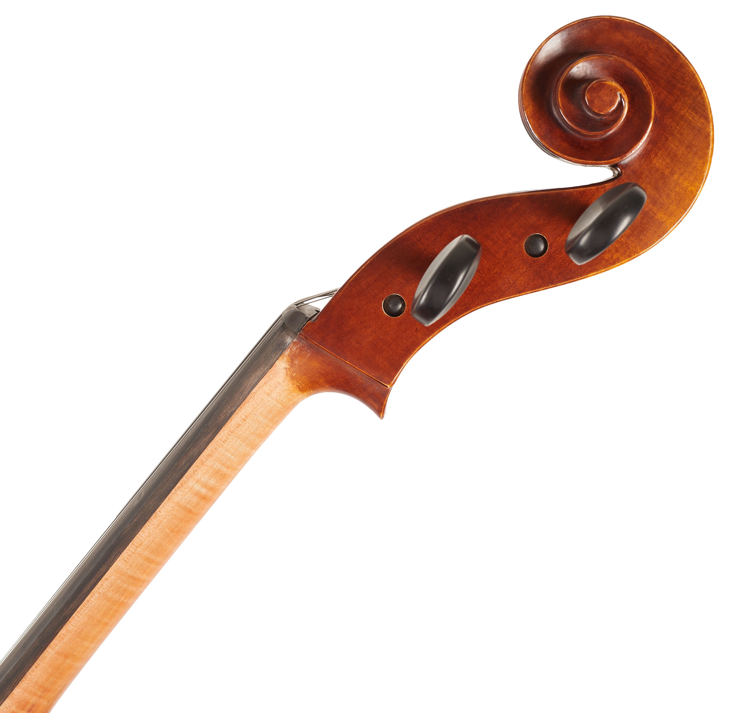 Gewa Maestro 6 Cello 4/4 (obrázek 9)