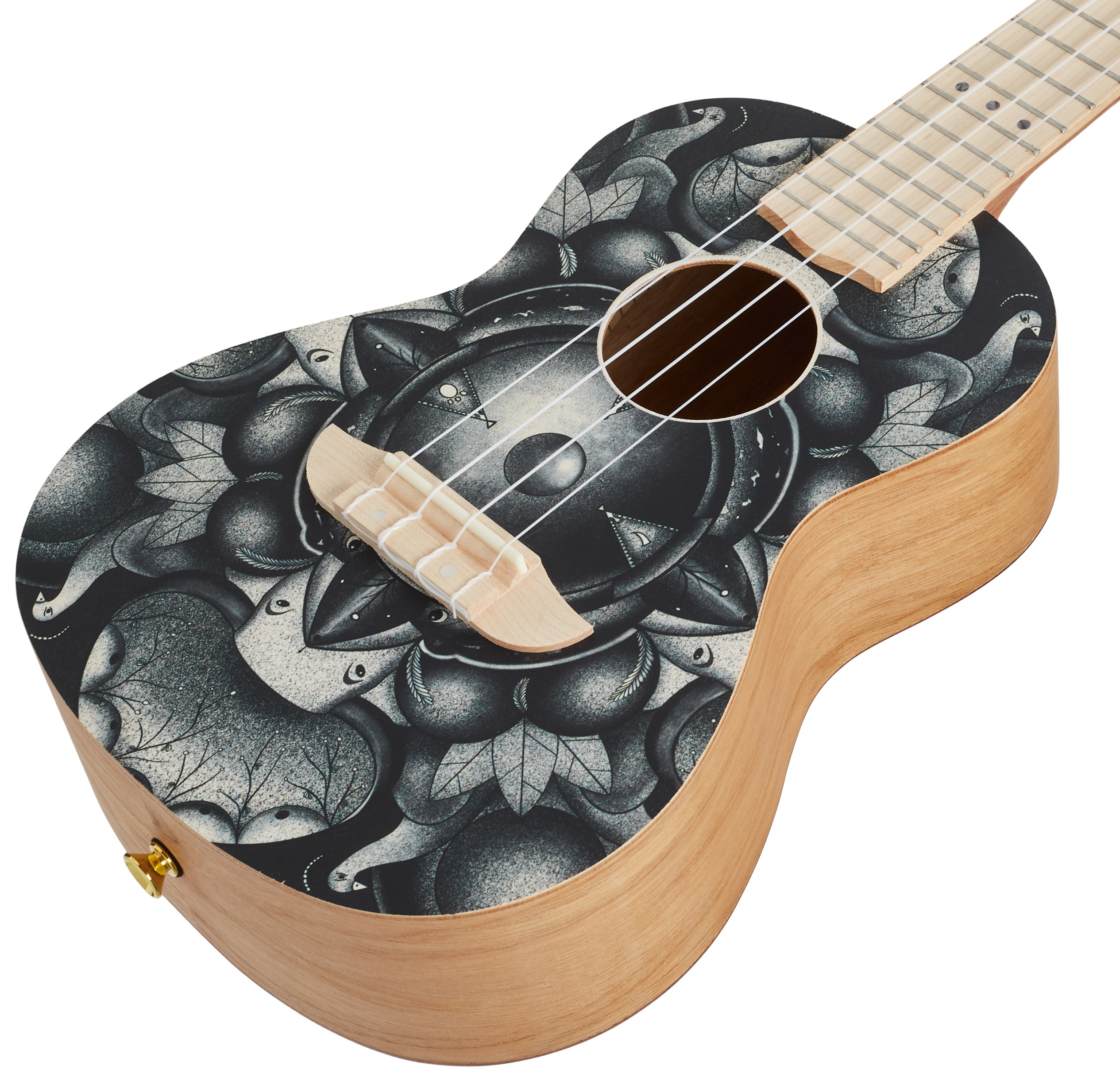 Ortega RUAR-BI (obrázek 3)